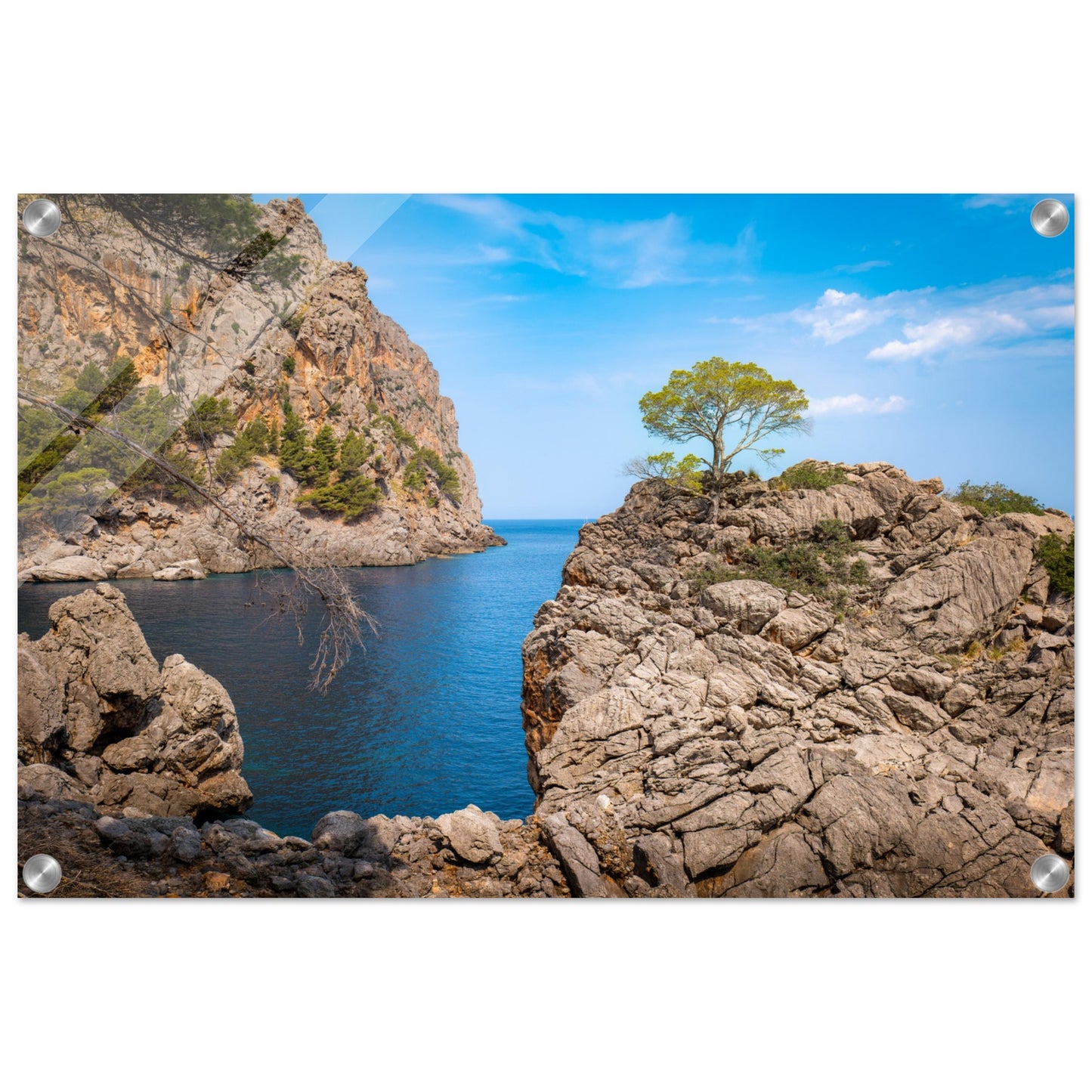 Einsamer Baum auf der Klippe von Sa Calobra