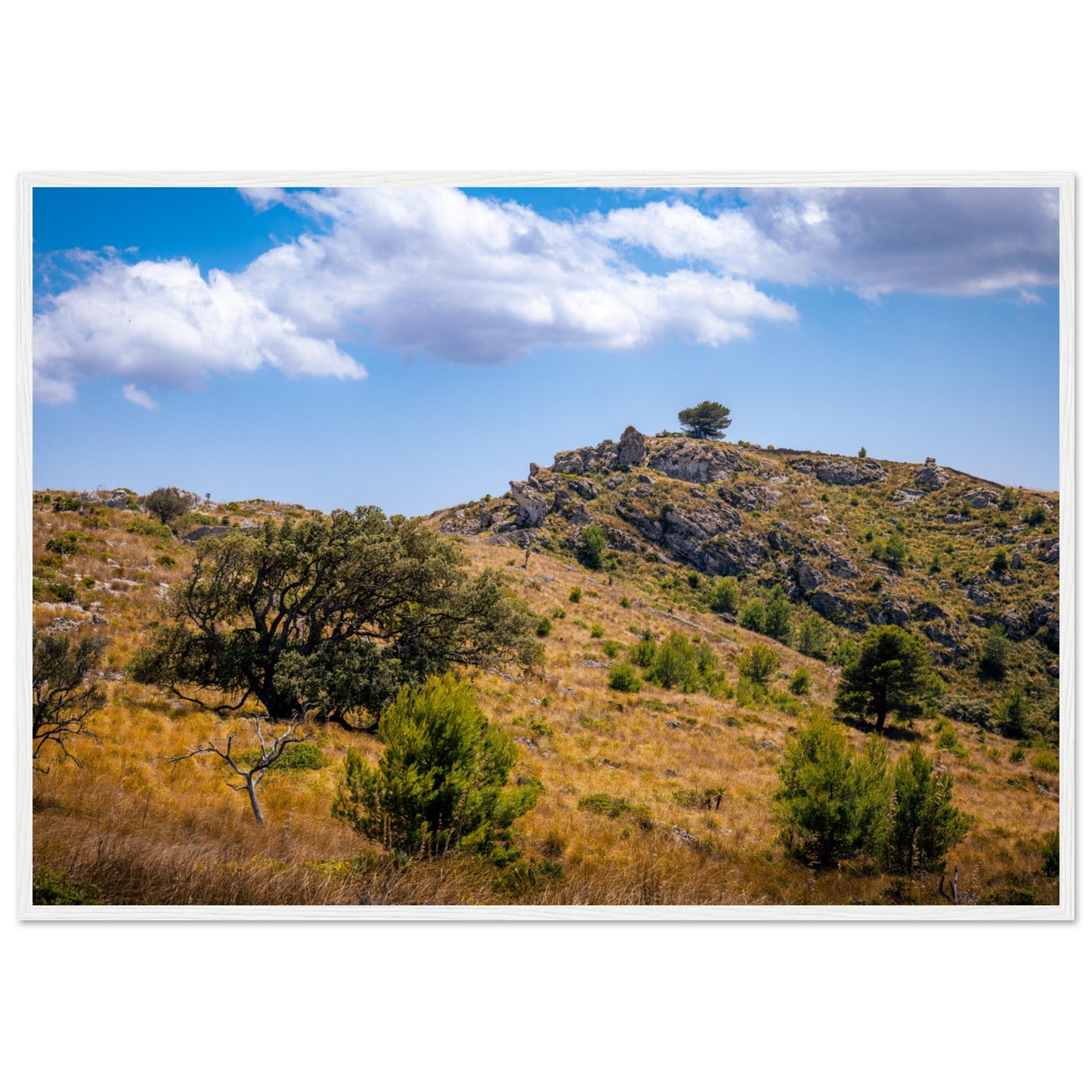 The Hills of Mallorca