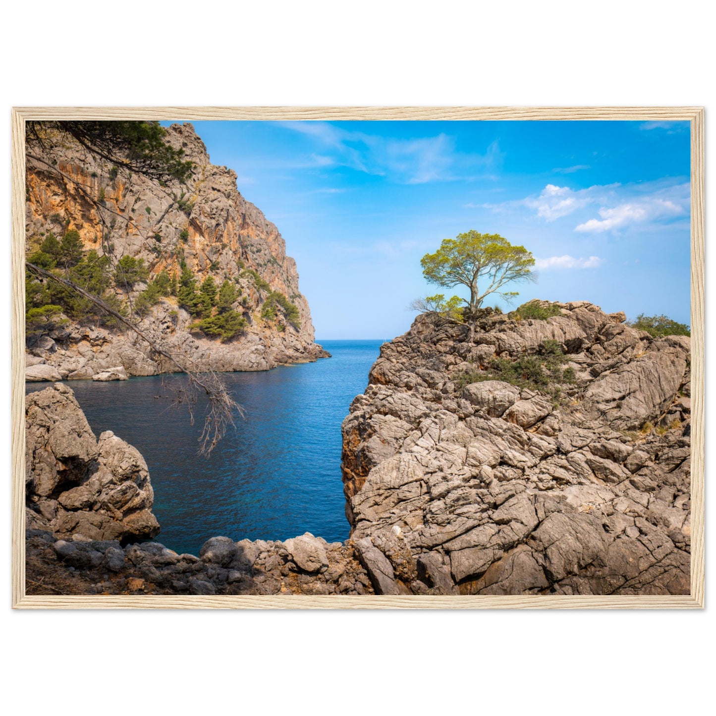 Einsamer Baum auf der Klippe von Sa Calobra