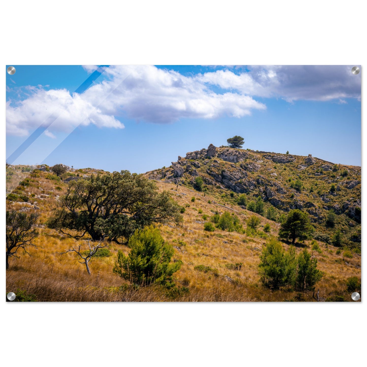 The Hills of Mallorca