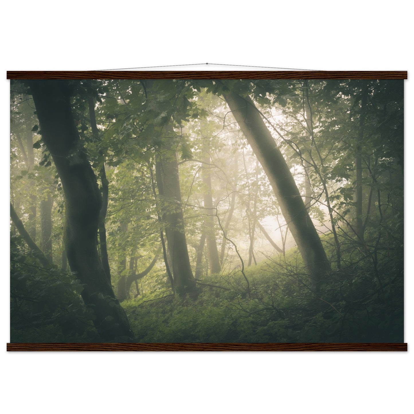 Ein Wald im Nebel