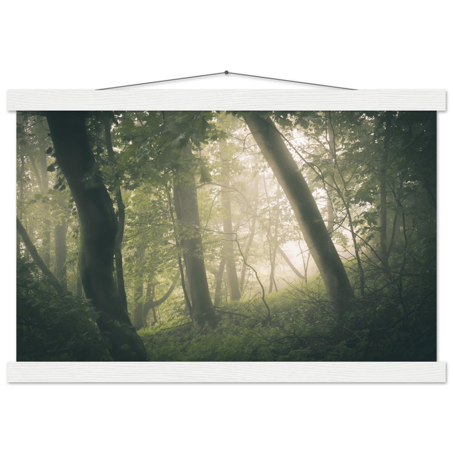 Ein Wald im Nebel