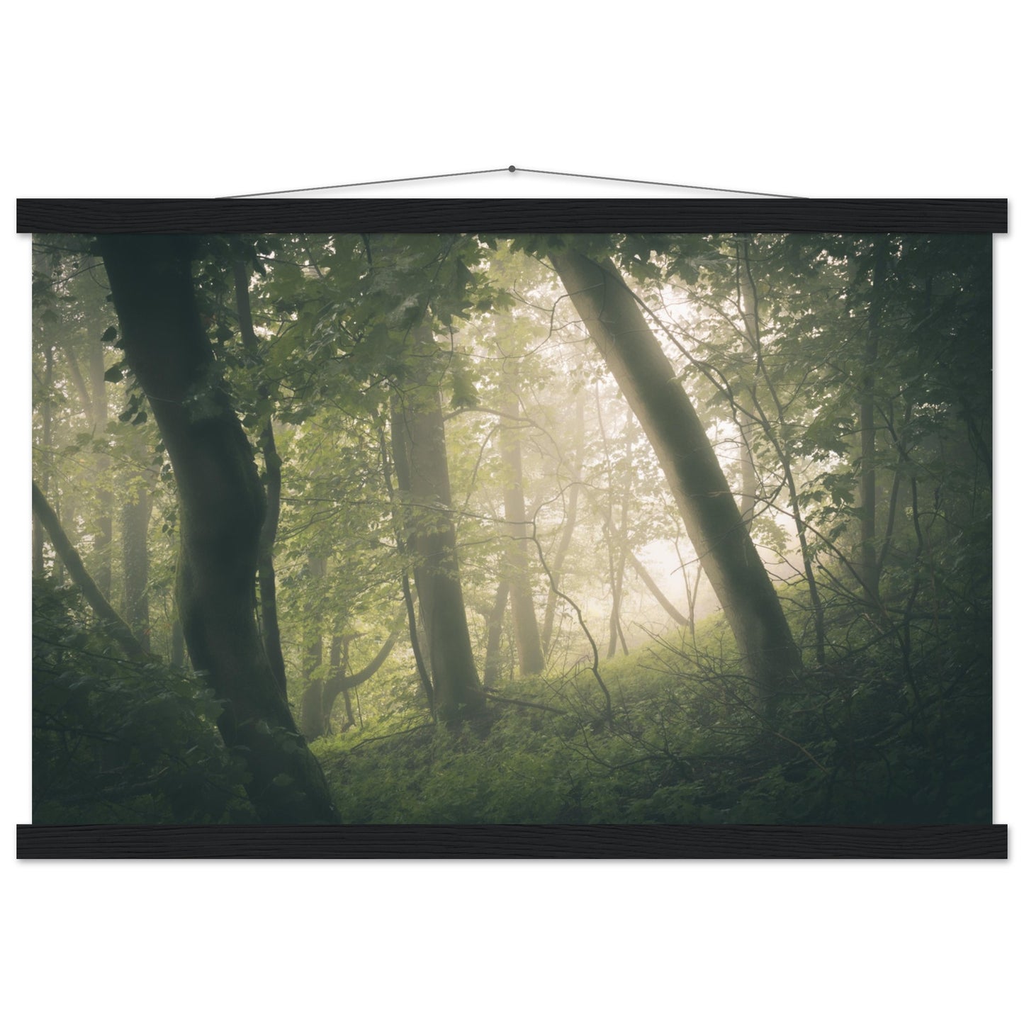 Ein Wald im Nebel