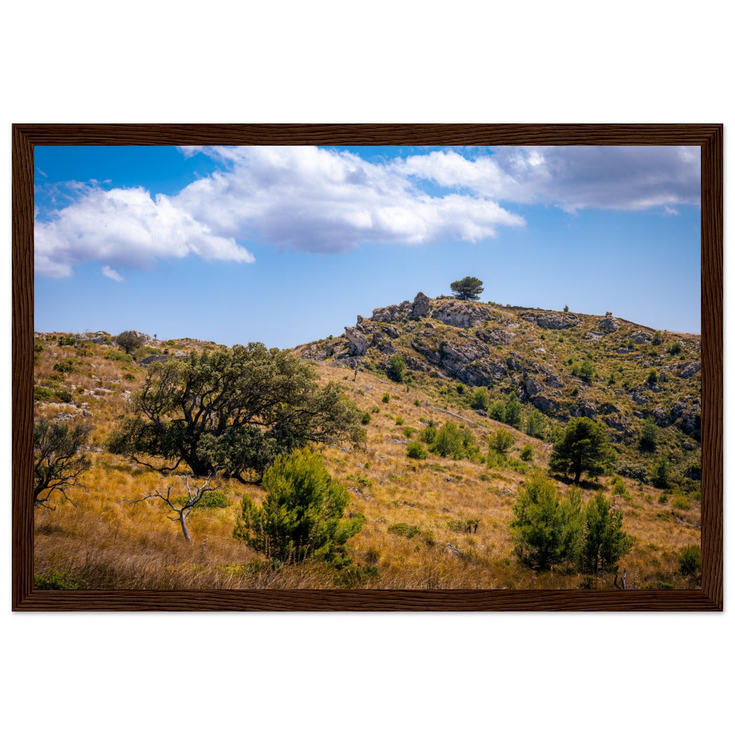 The Hills of Mallorca