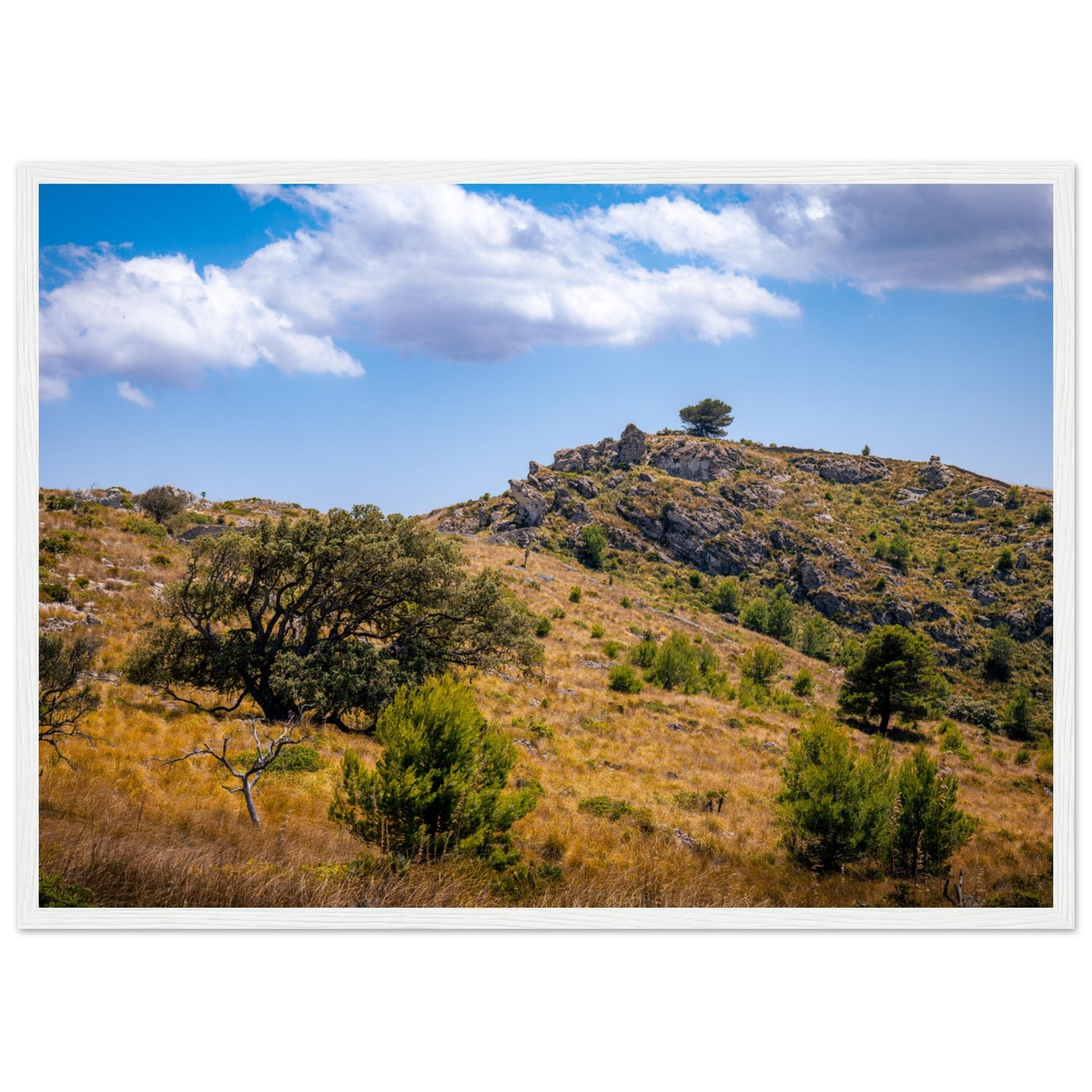 The Hills of Mallorca