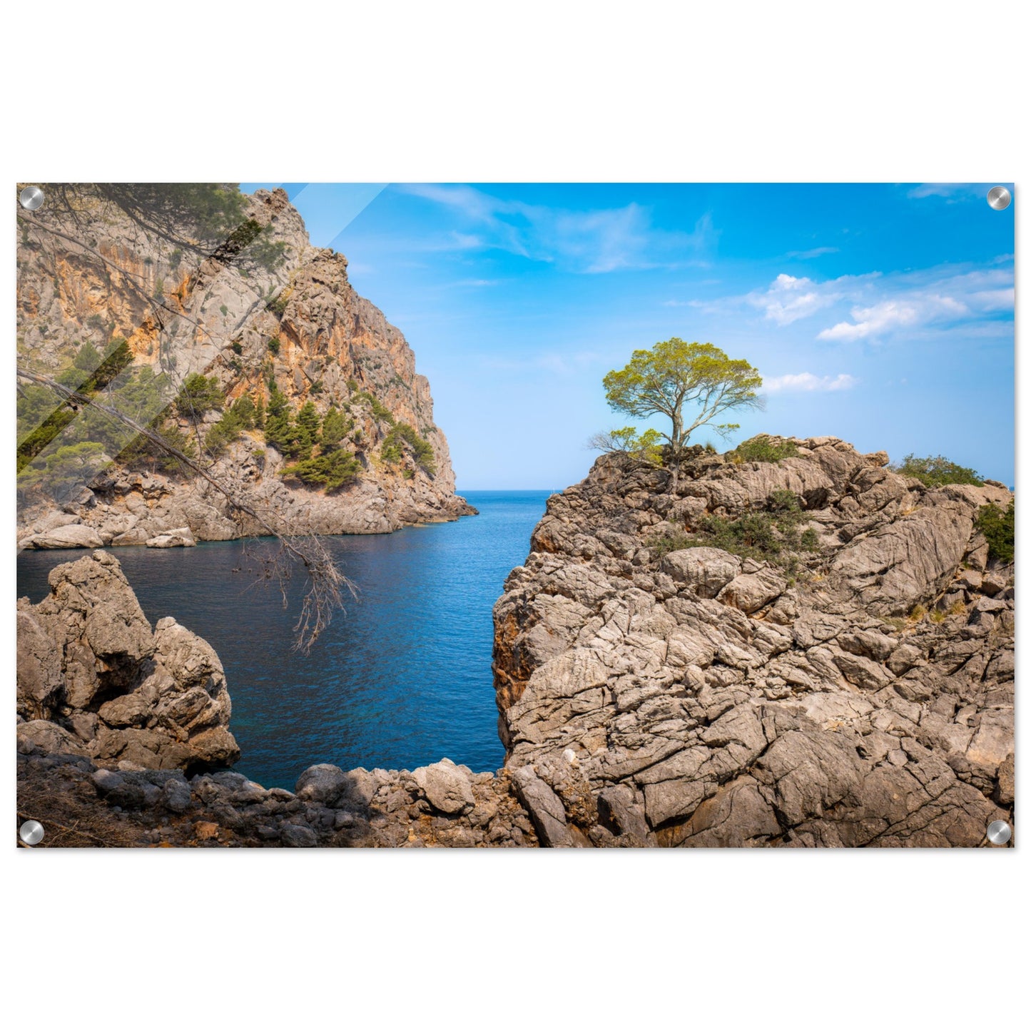 Einsamer Baum auf der Klippe von Sa Calobra