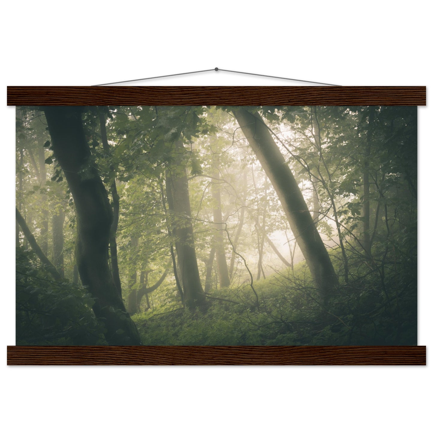 Ein Wald im Nebel