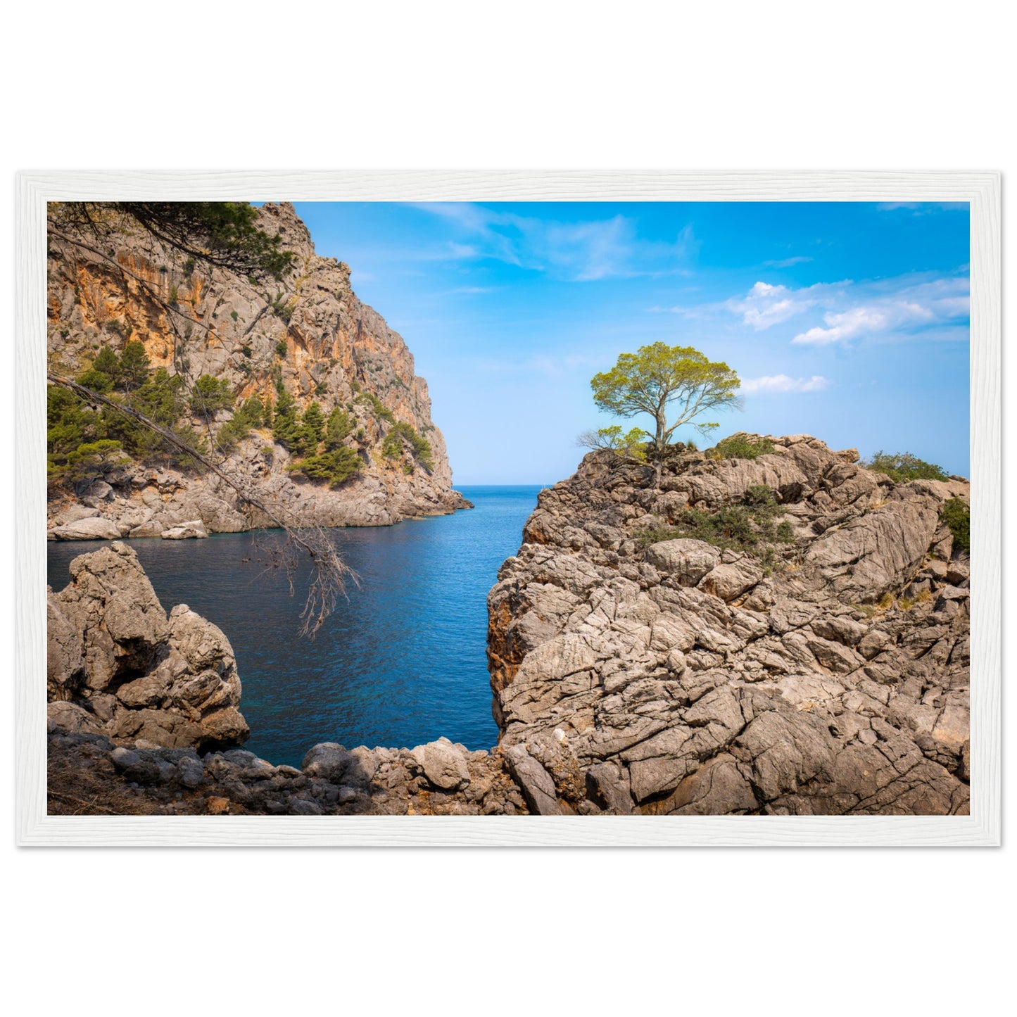 Einsamer Baum auf der Klippe von Sa Calobra