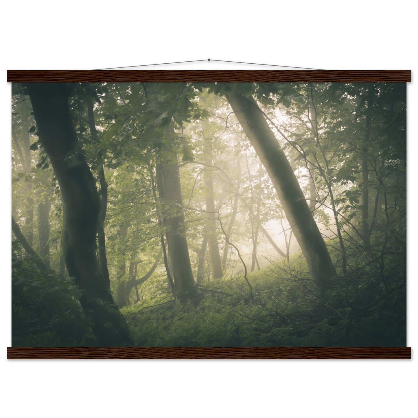 Ein Wald im Nebel