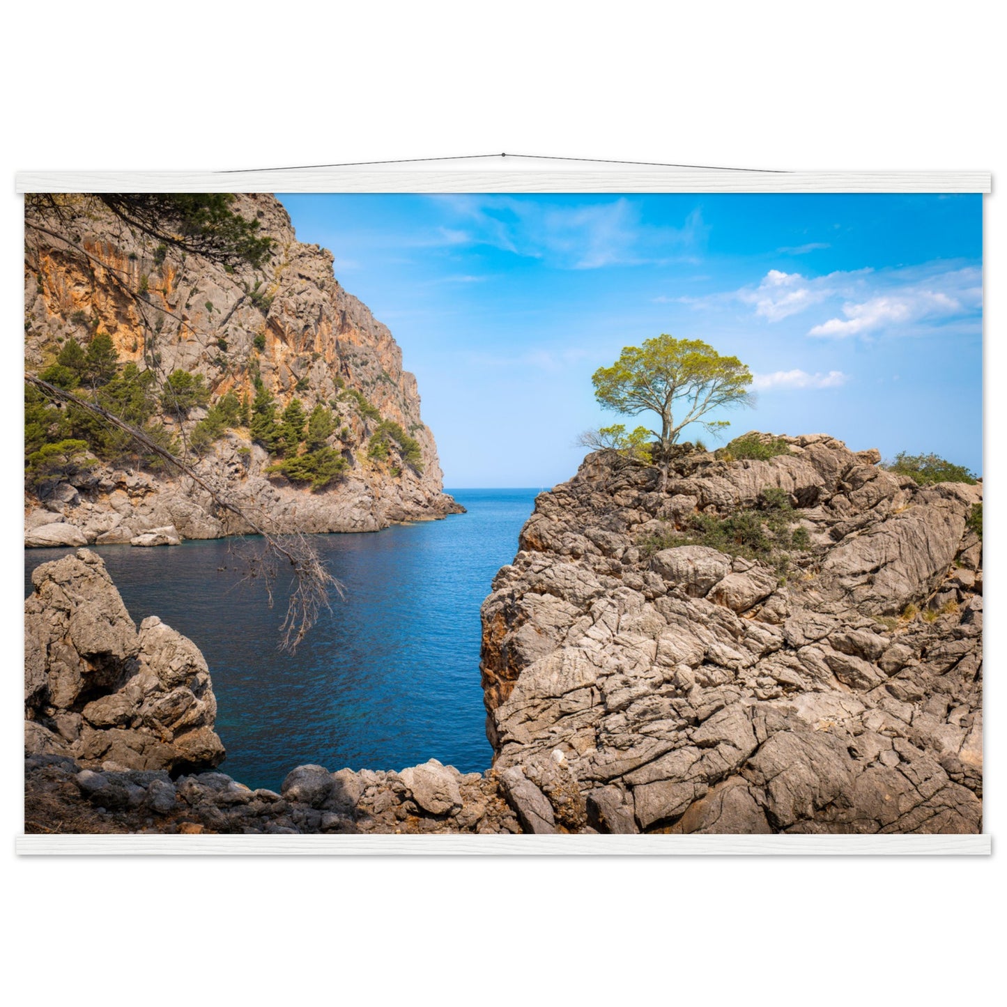 Einsamer Baum auf der Klippe von Sa Calobra