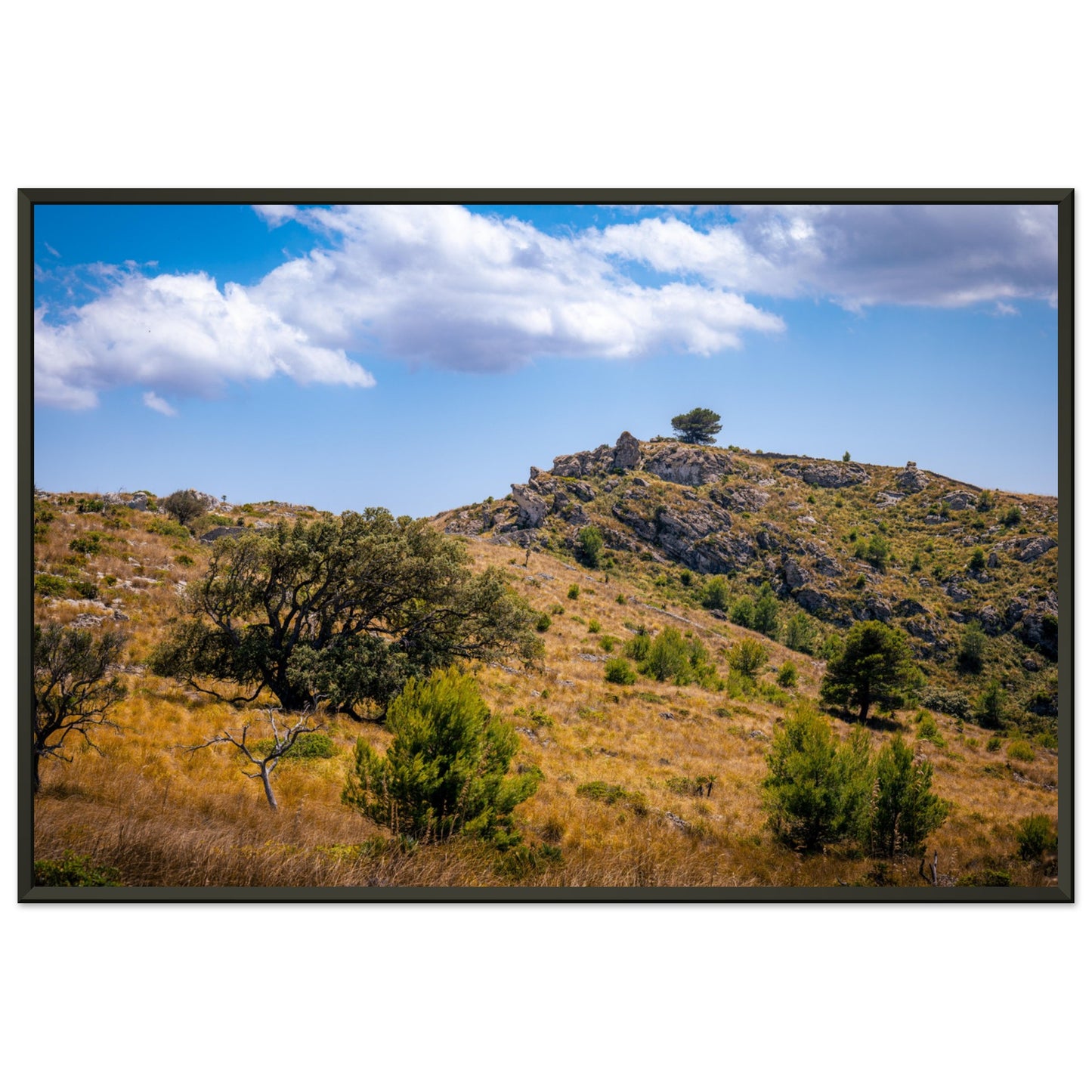 The Hills of Mallorca