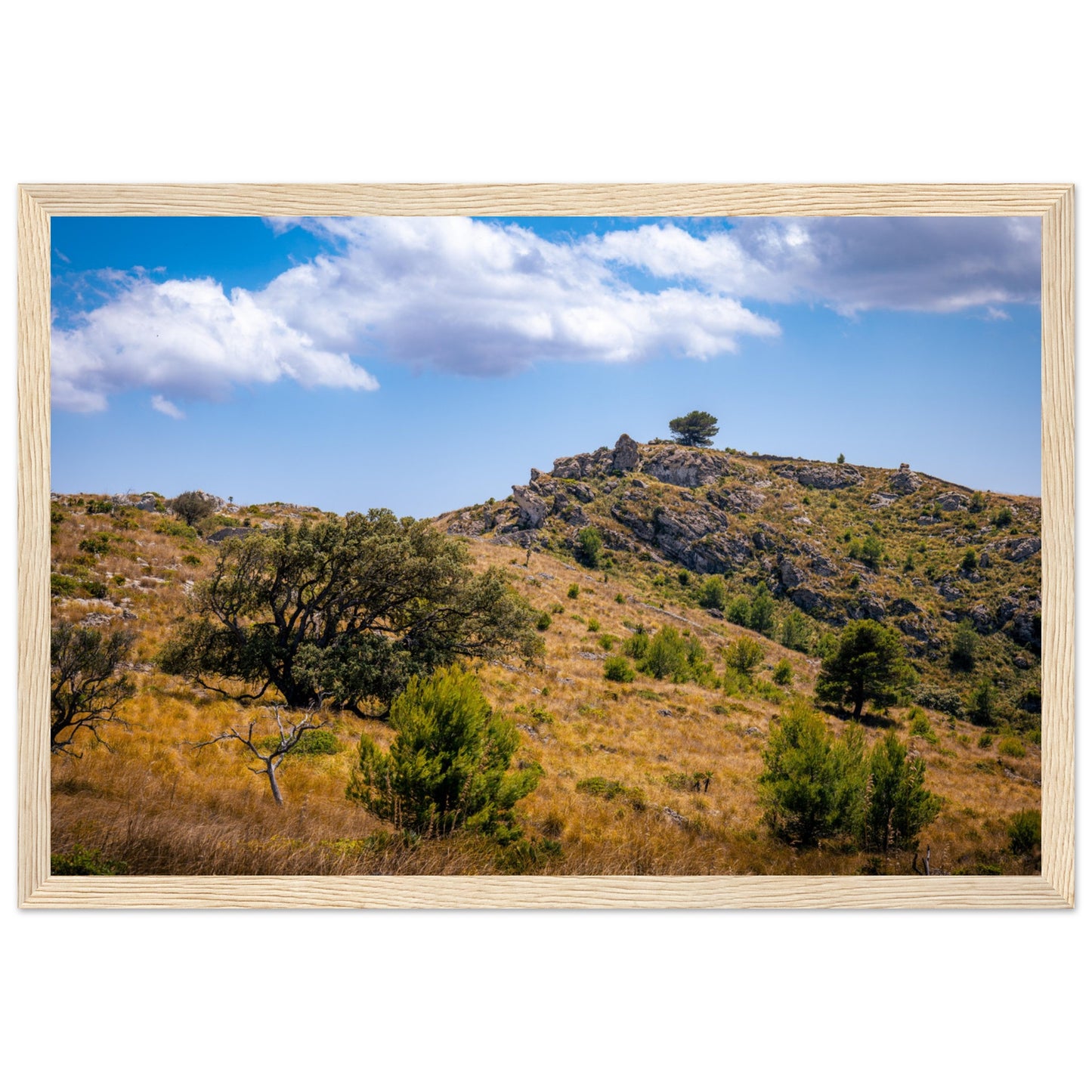 The Hills of Mallorca