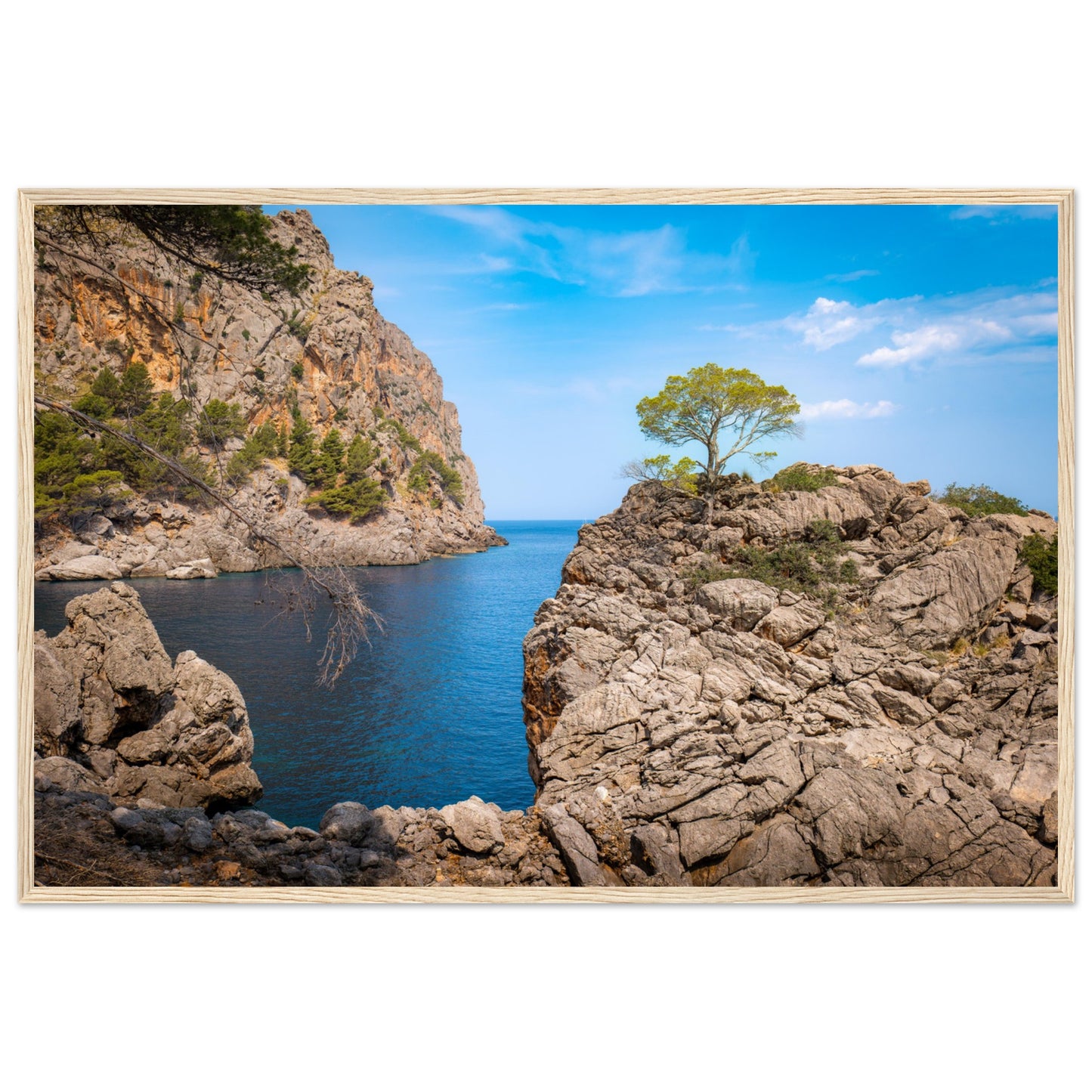 Einsamer Baum auf der Klippe von Sa Calobra