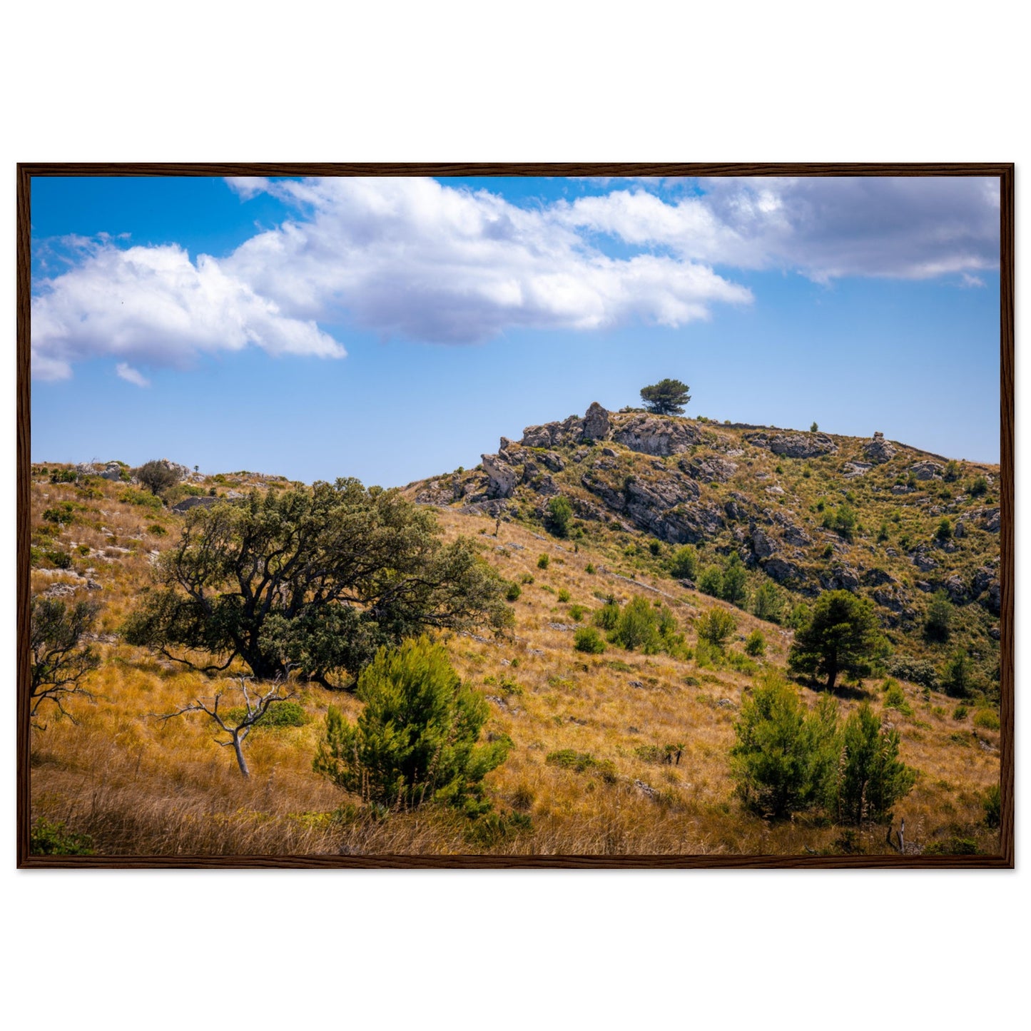 The Hills of Mallorca