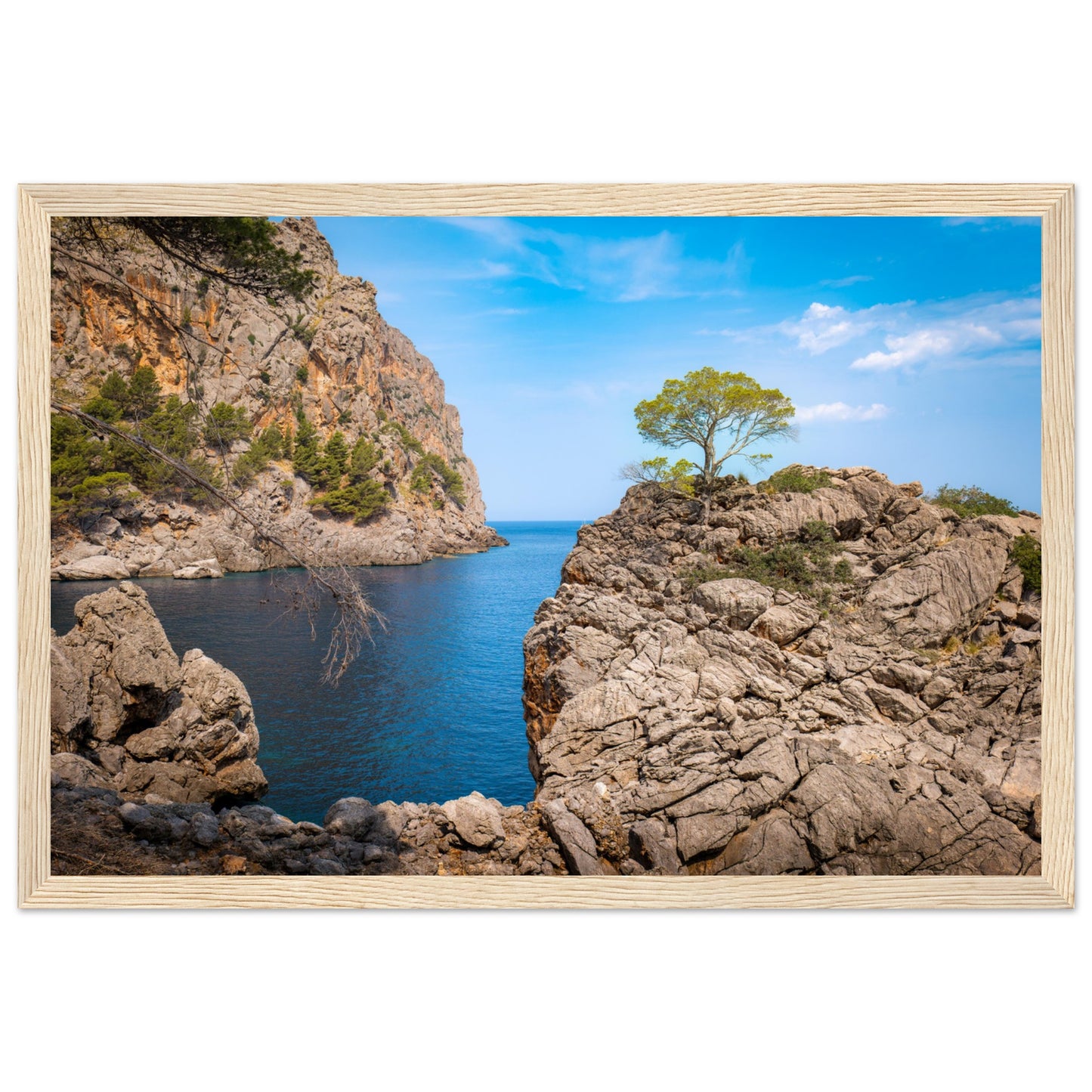 Einsamer Baum auf der Klippe von Sa Calobra