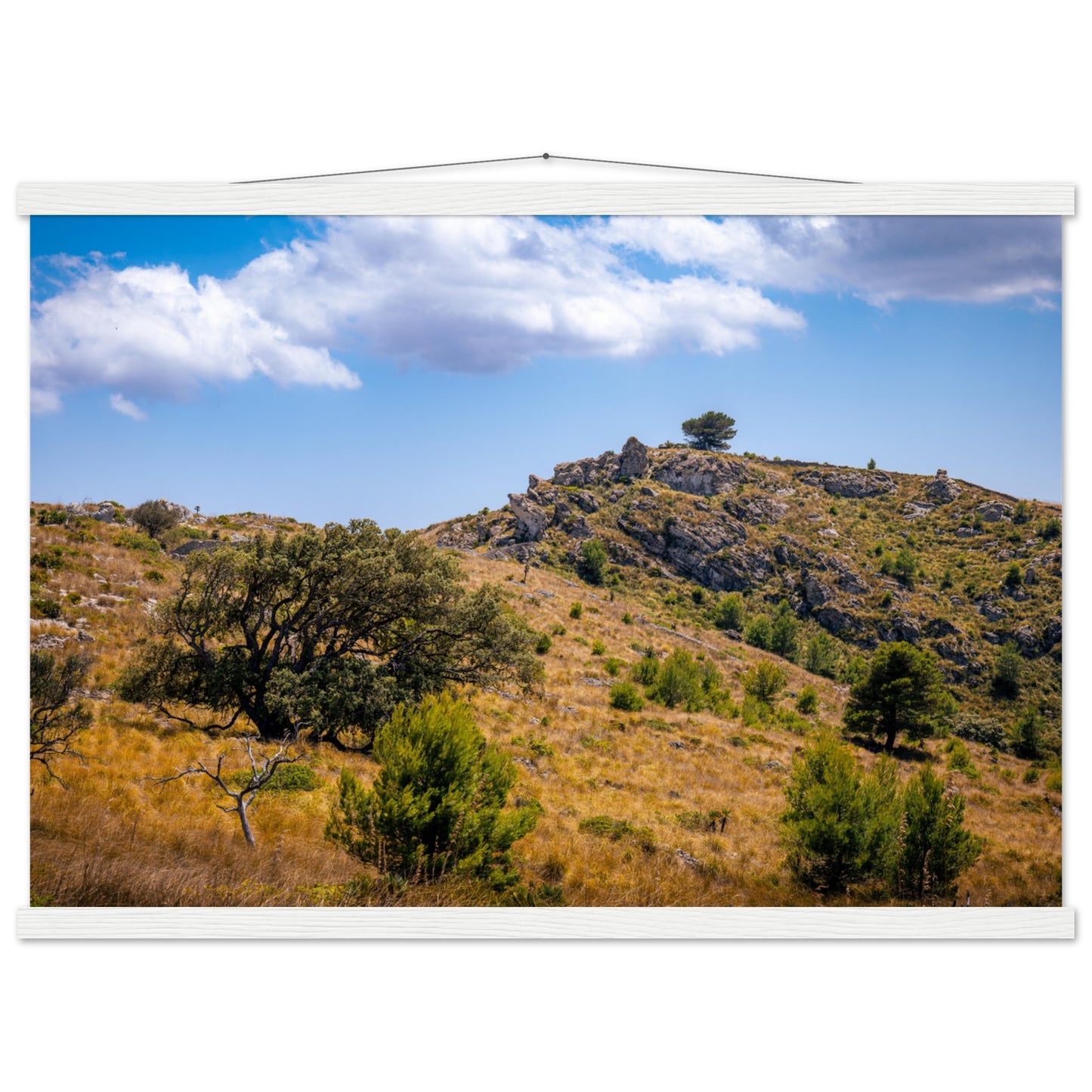 The Hills of Mallorca