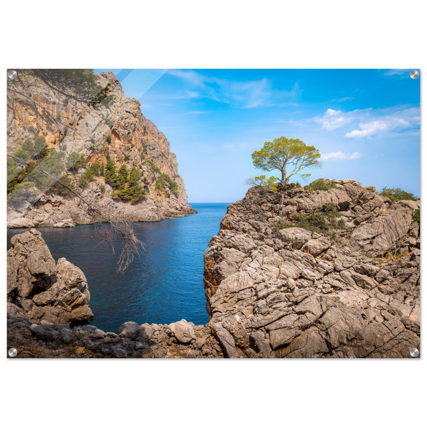 Einsamer Baum auf der Klippe von Sa Calobra