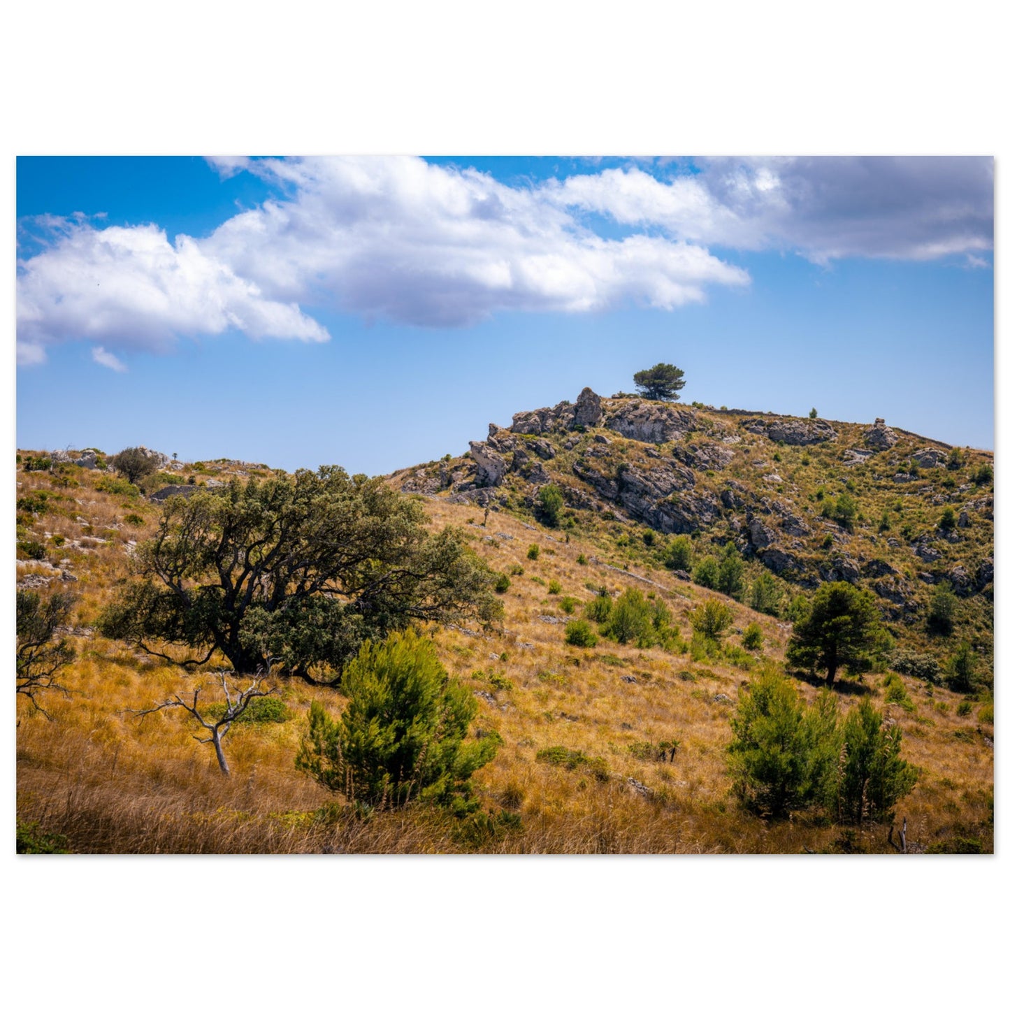 The Hills of Mallorca