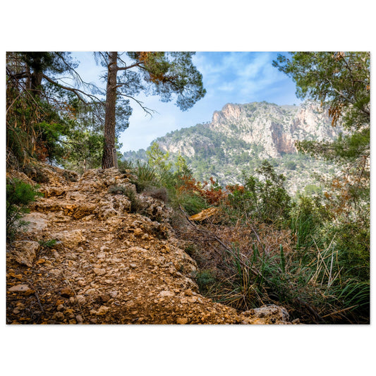 Torrent de Biniaraix