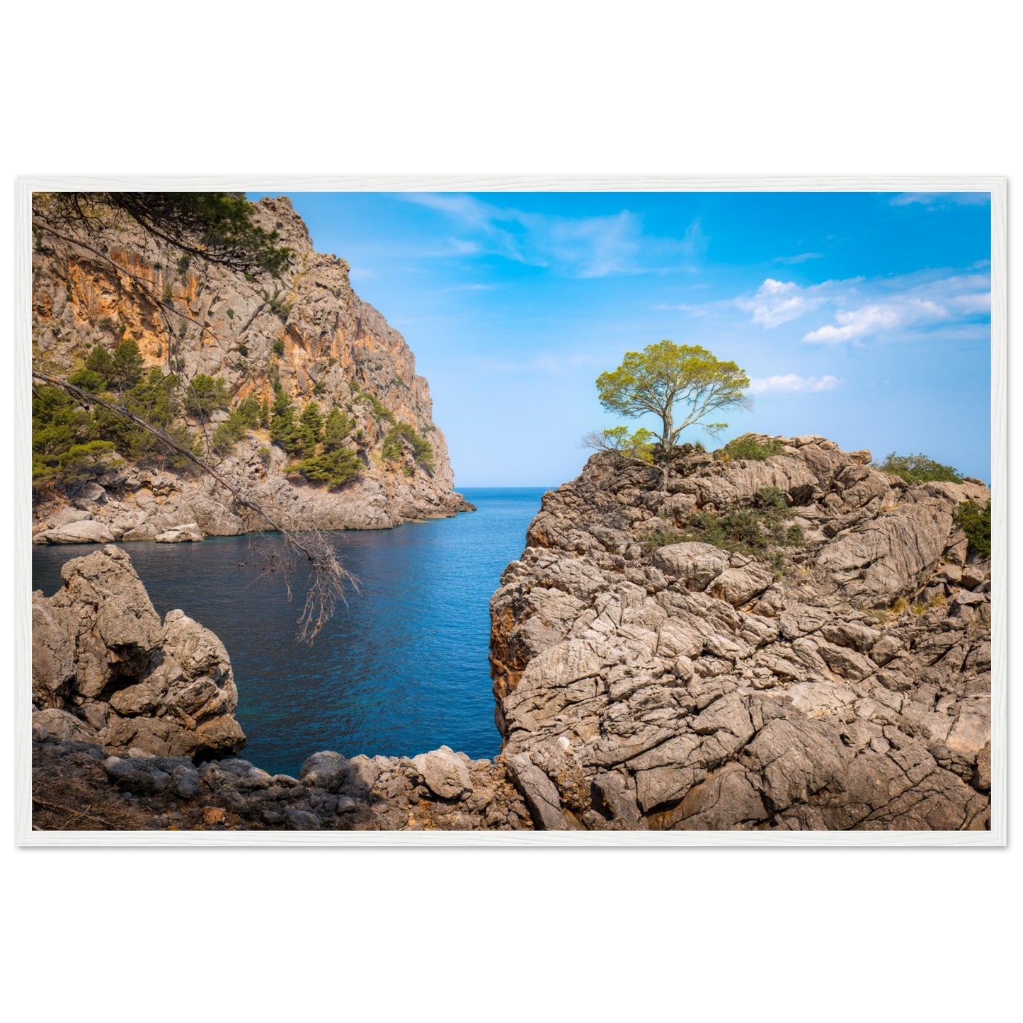 Einsamer Baum auf der Klippe von Sa Calobra