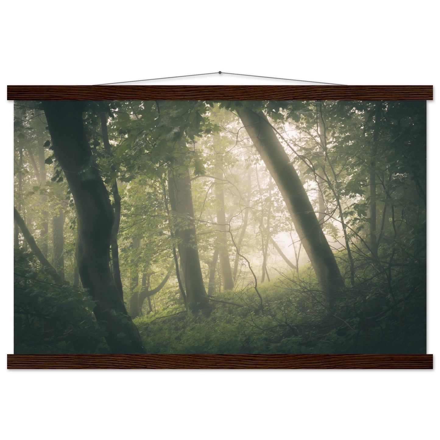 Ein Wald im Nebel