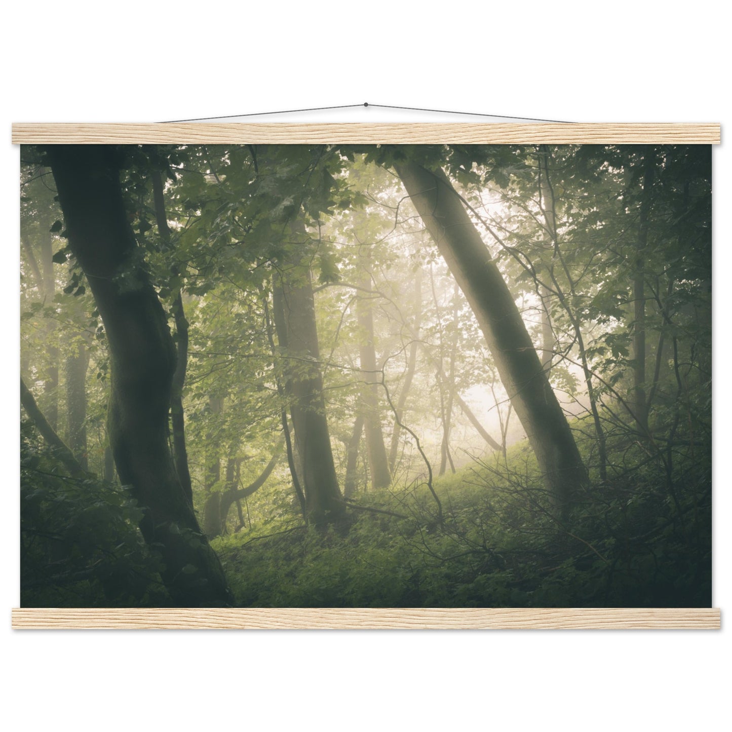 Ein Wald im Nebel