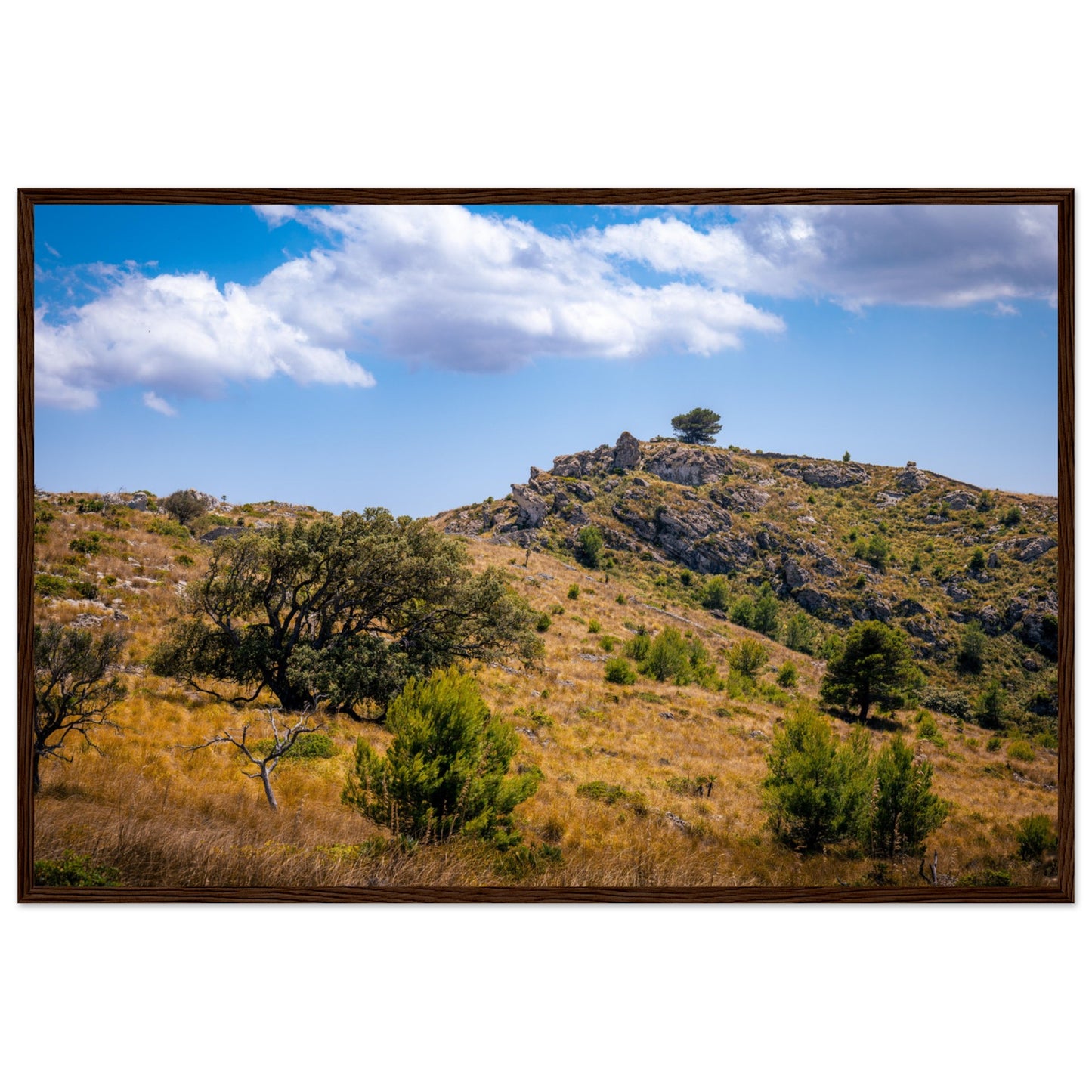 The Hills of Mallorca