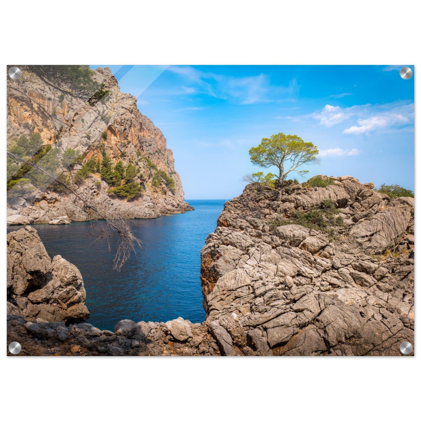 Einsamer Baum auf der Klippe von Sa Calobra