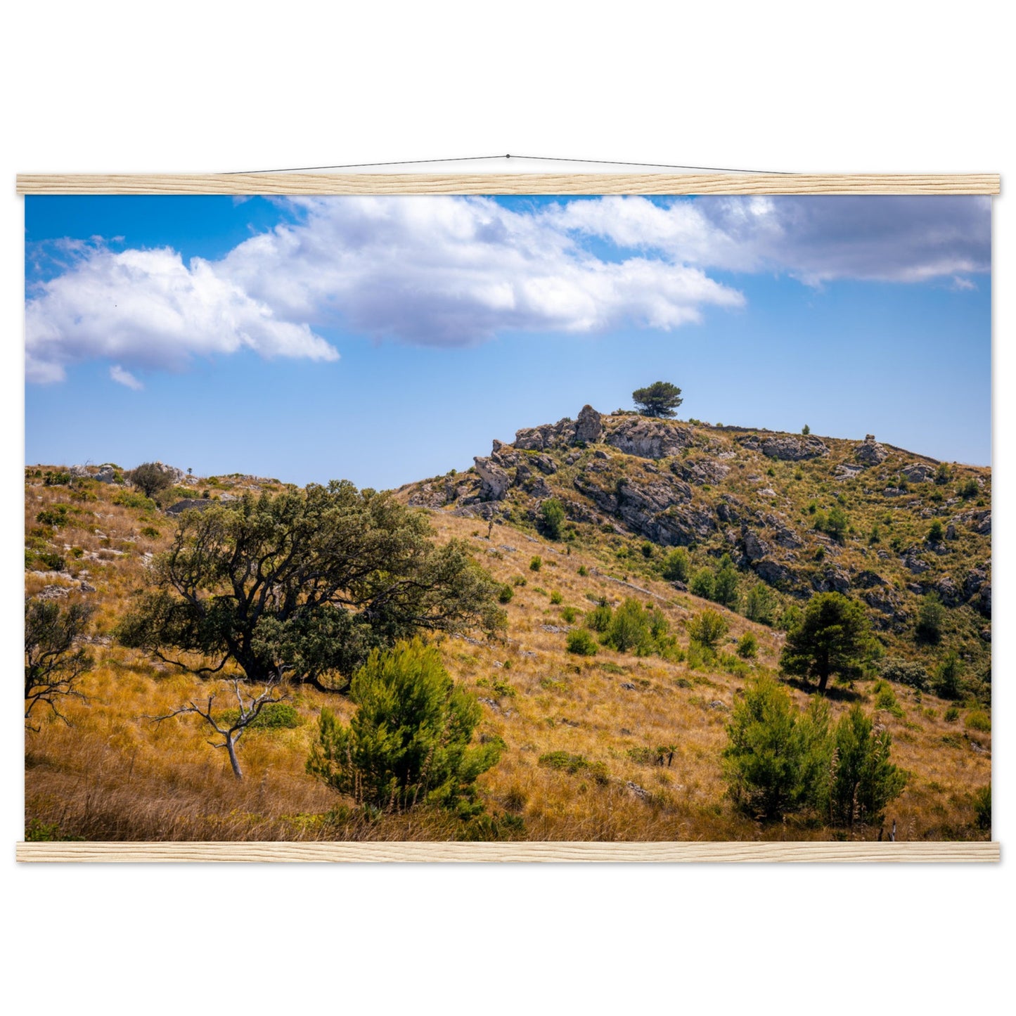 The Hills of Mallorca