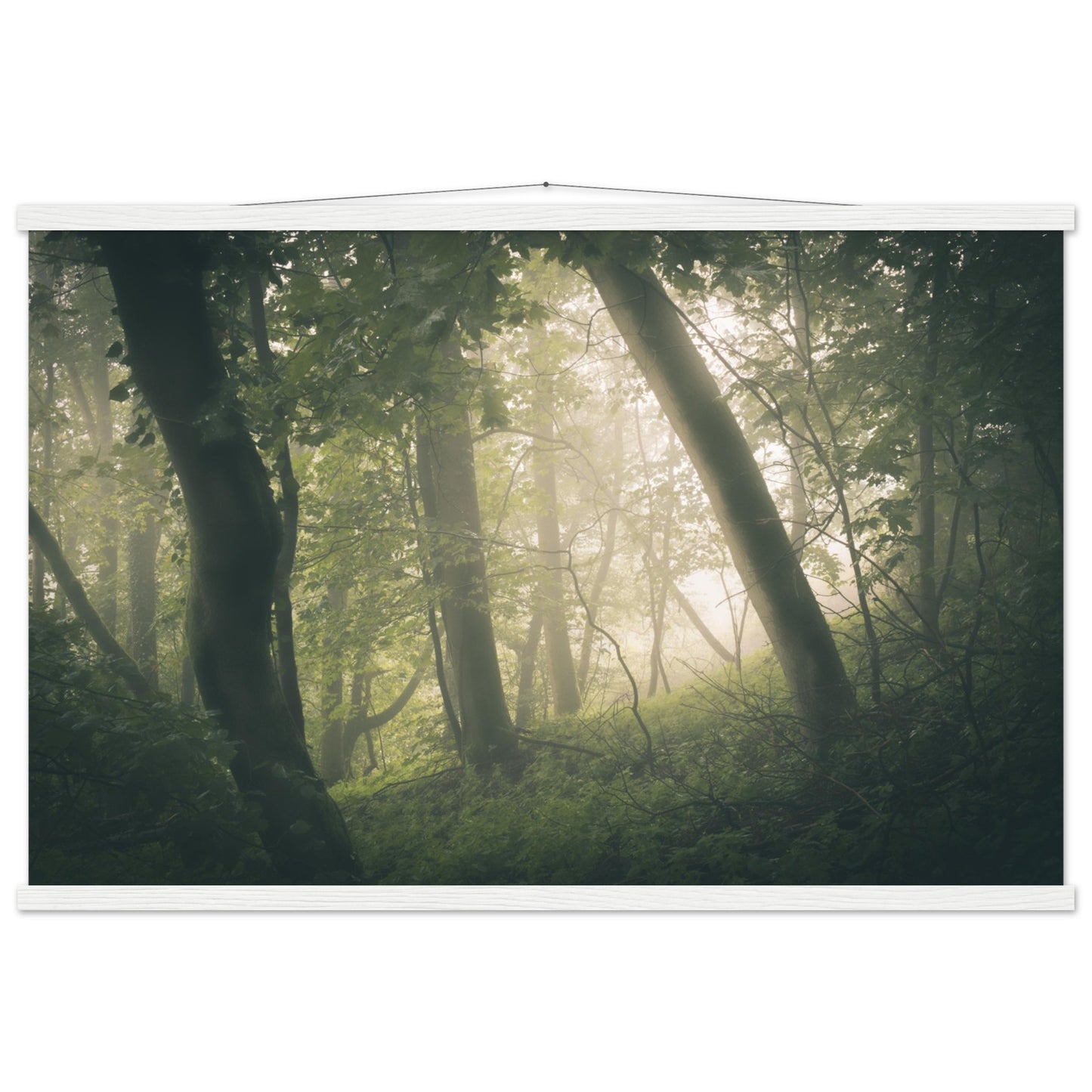 Ein Wald im Nebel