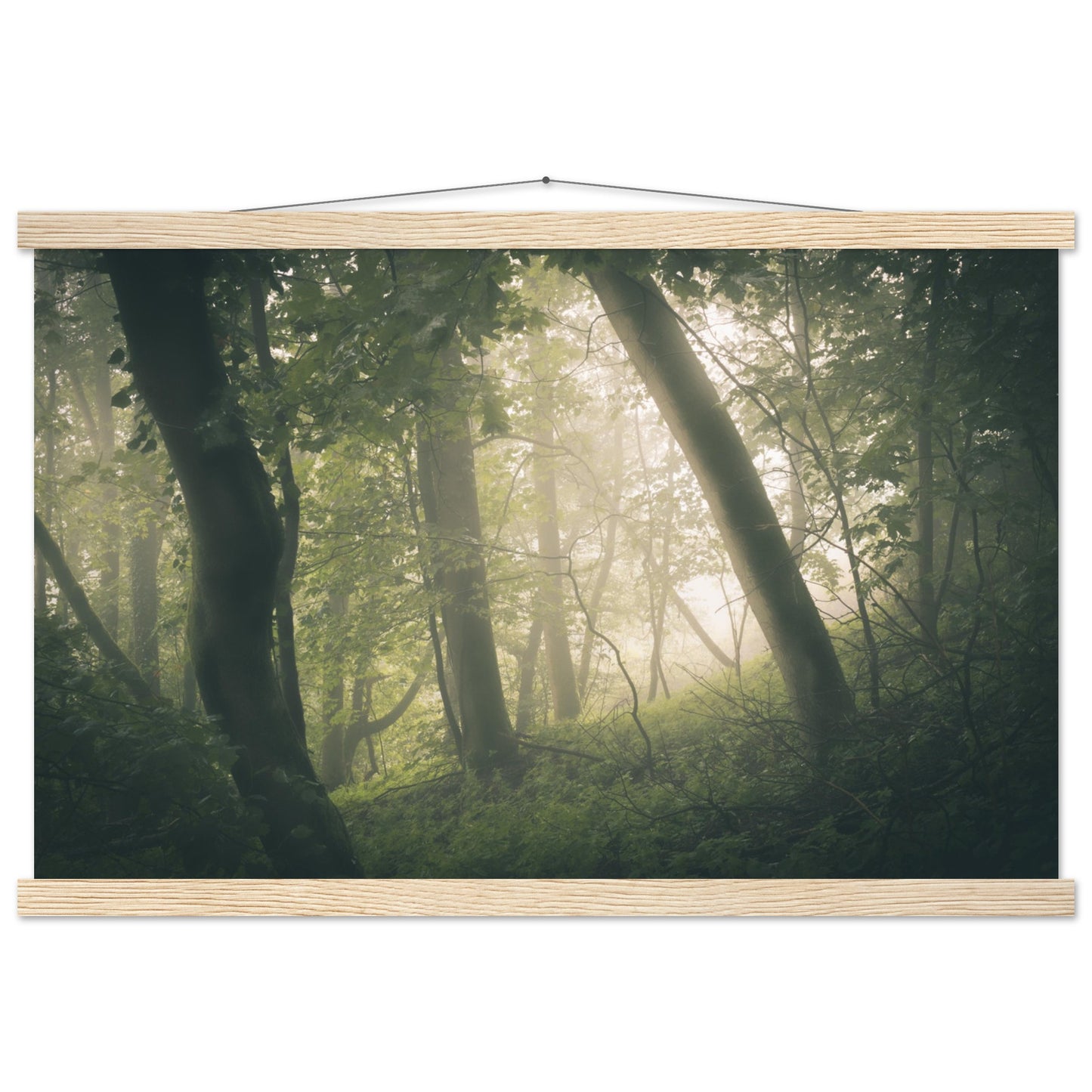 Ein Wald im Nebel