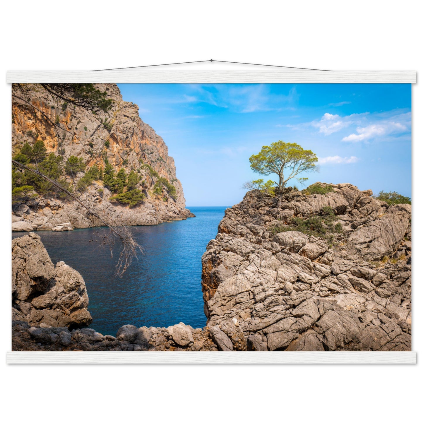 Einsamer Baum auf der Klippe von Sa Calobra