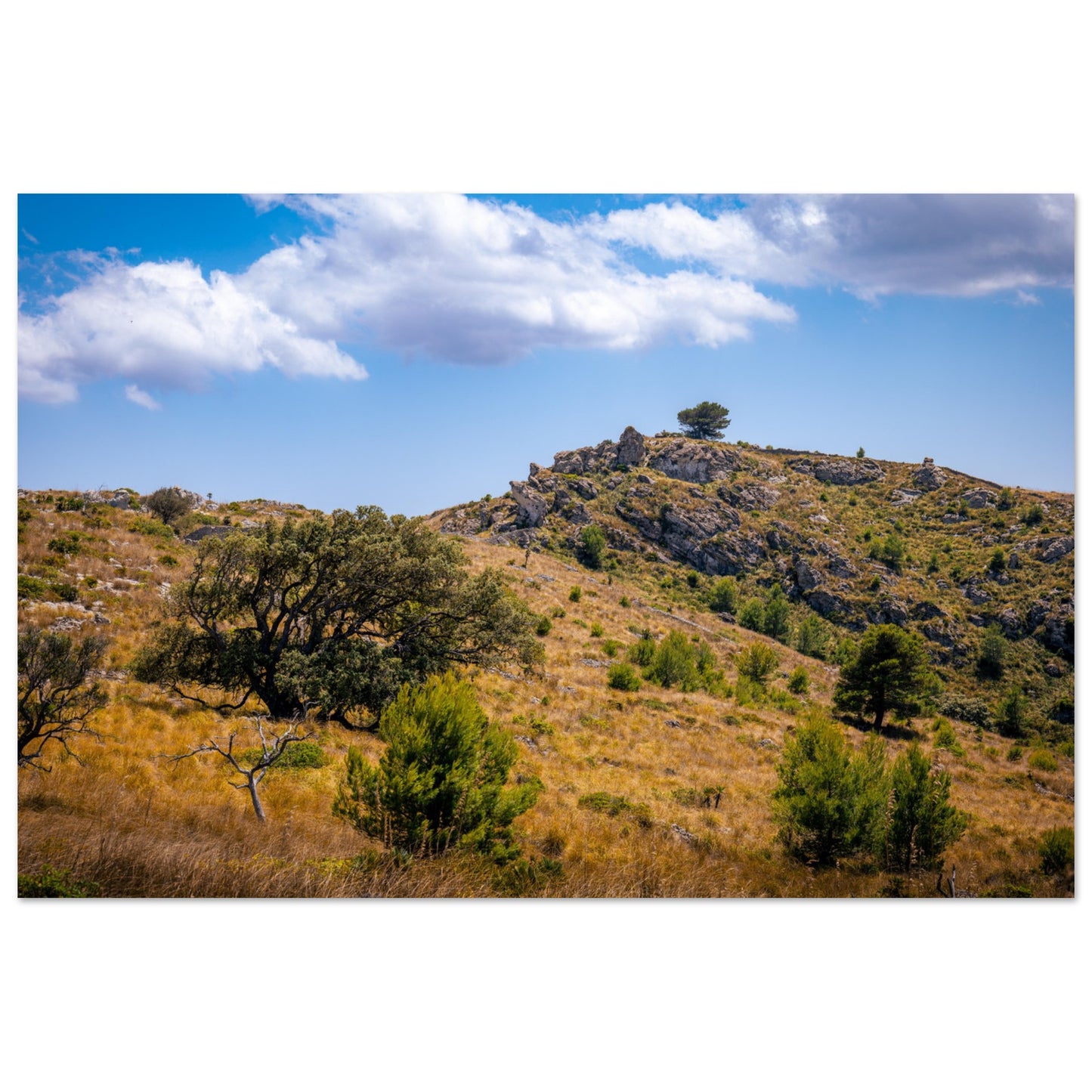 The Hills of Mallorca