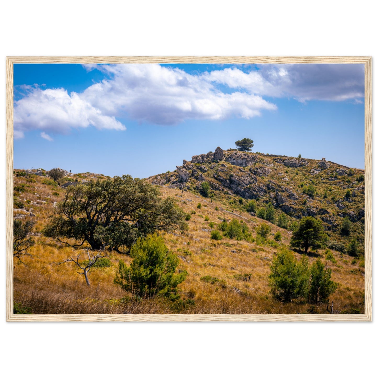 The Hills of Mallorca