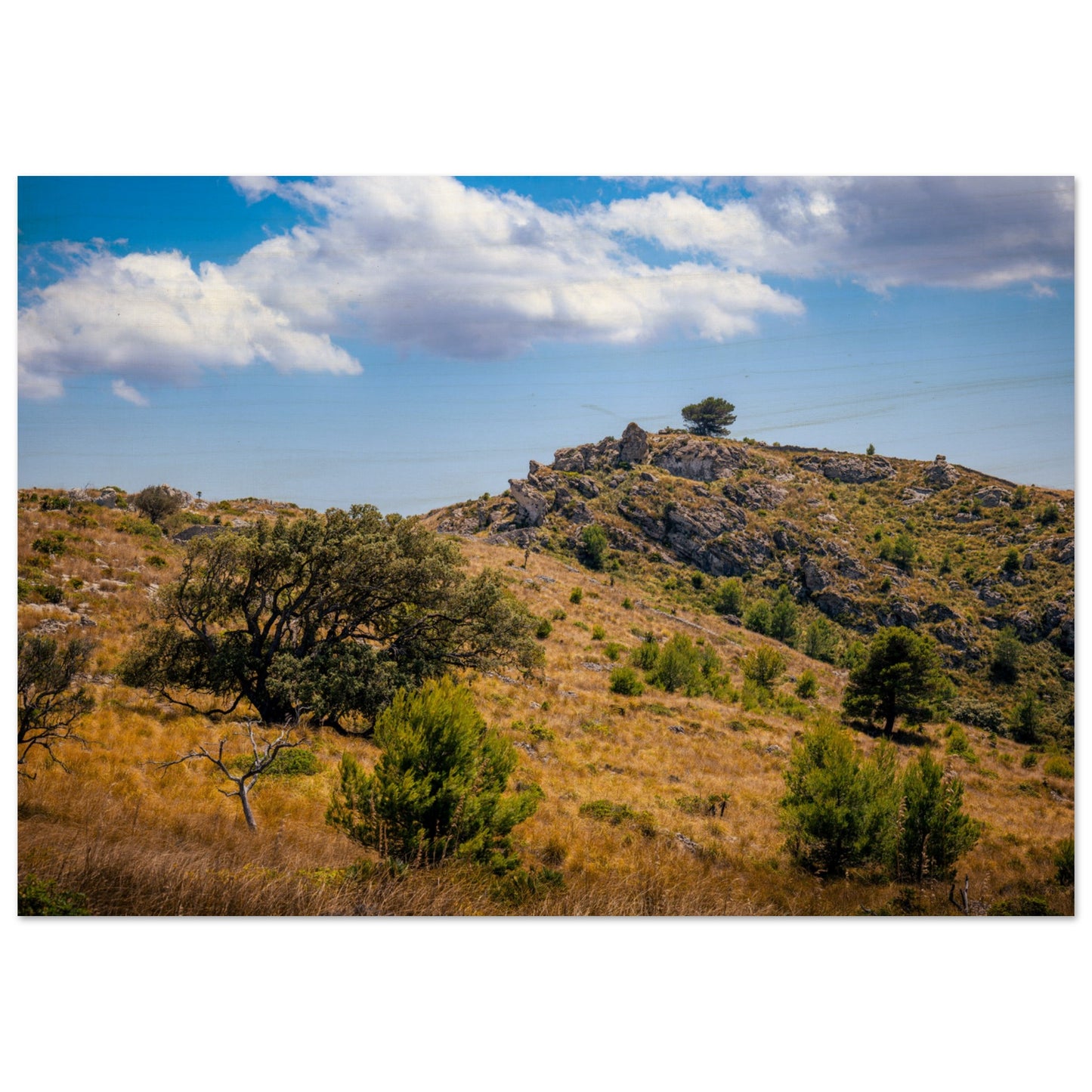 The Hills of Mallorca