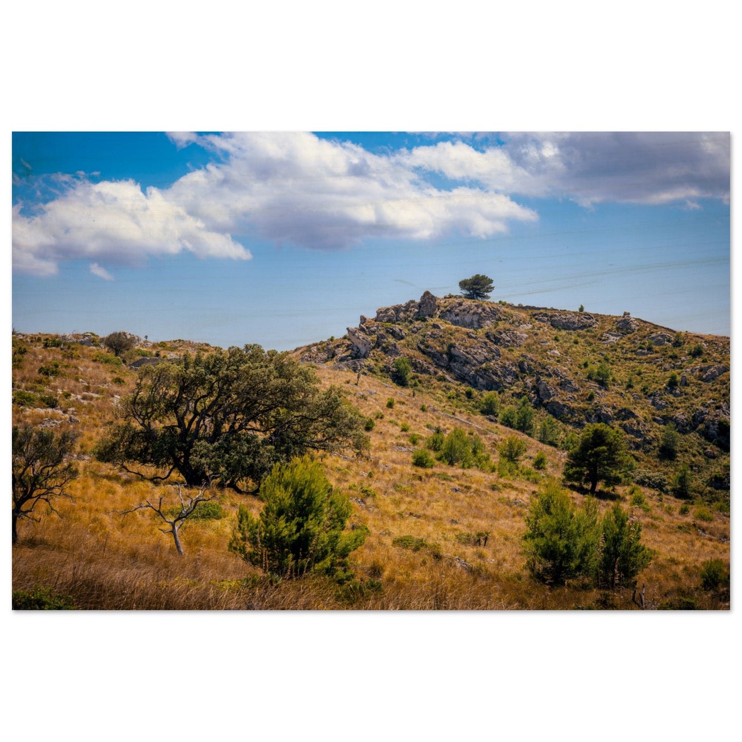 The Hills of Mallorca