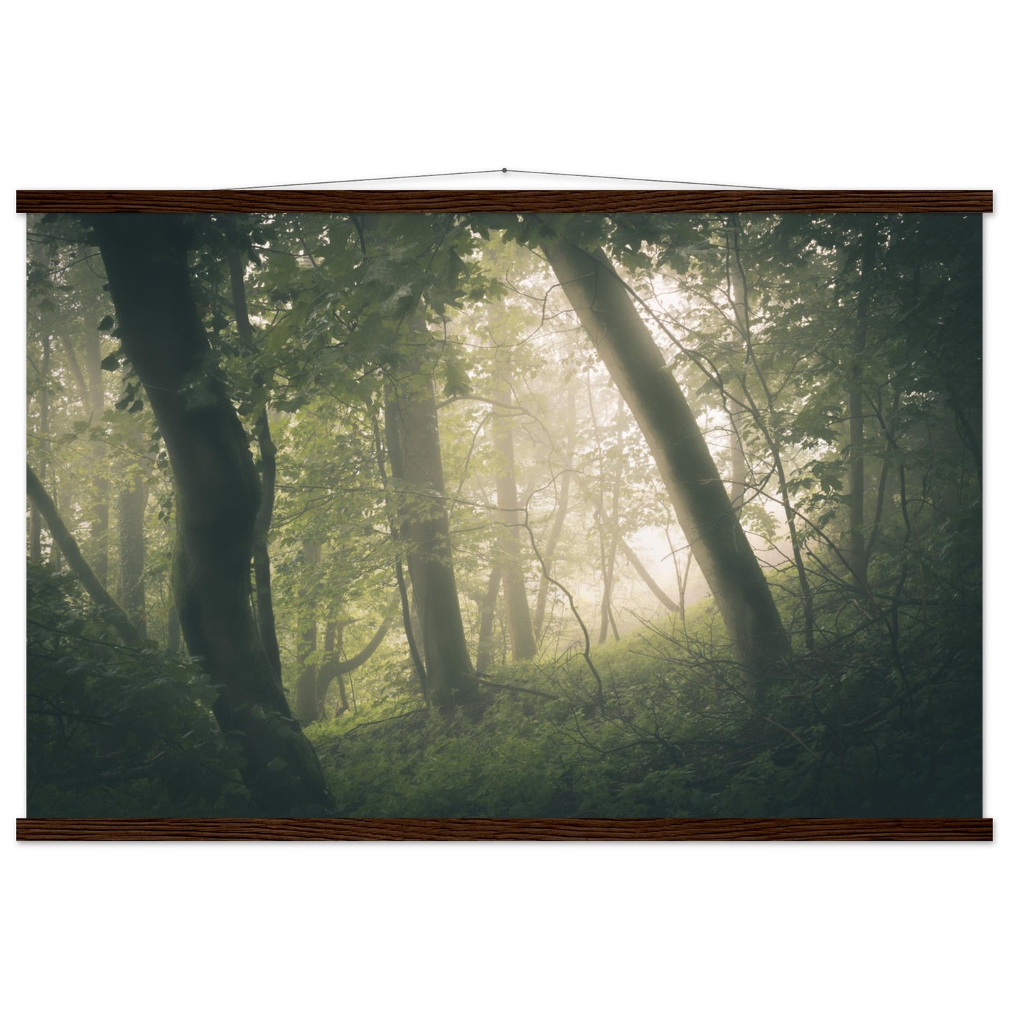 Ein Wald im Nebel