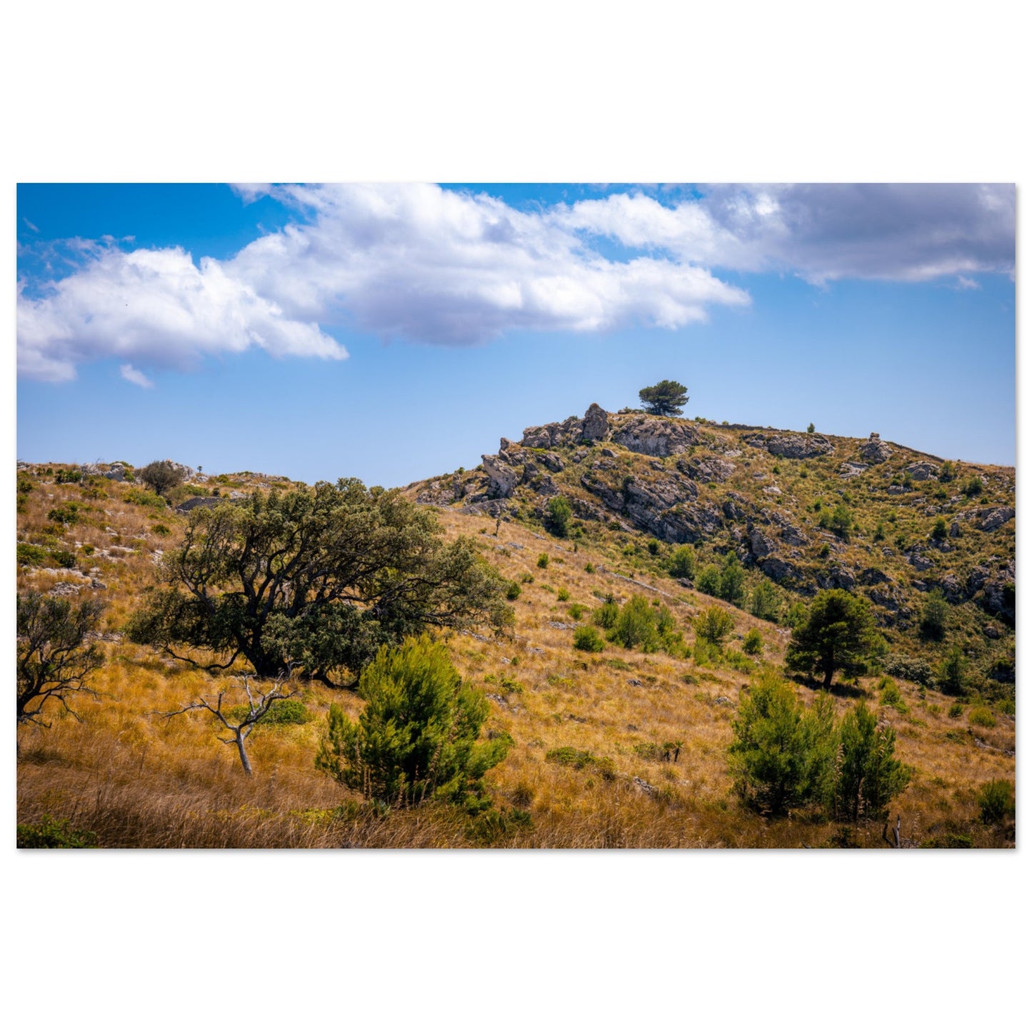 The Hills of Mallorca