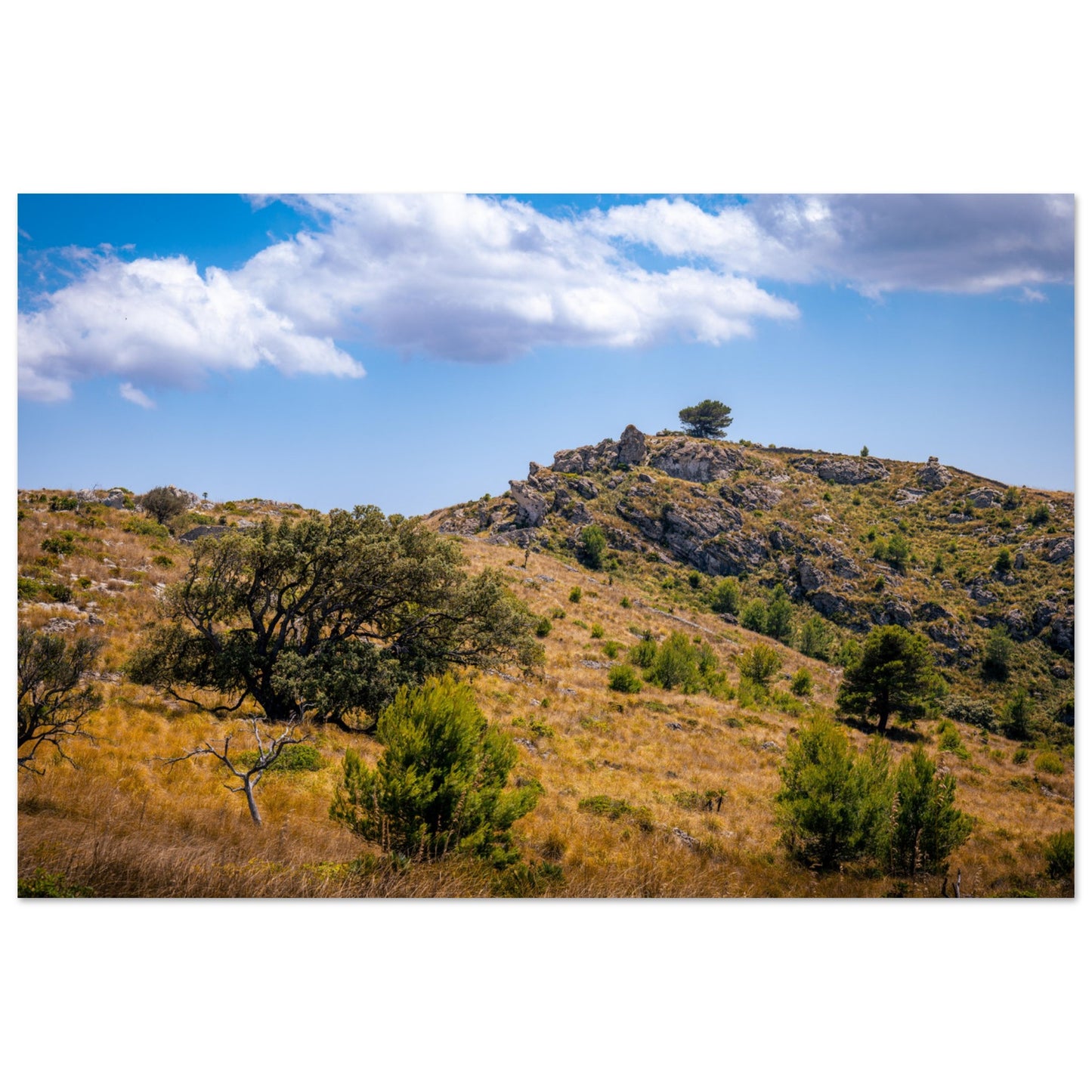 The Hills of Mallorca