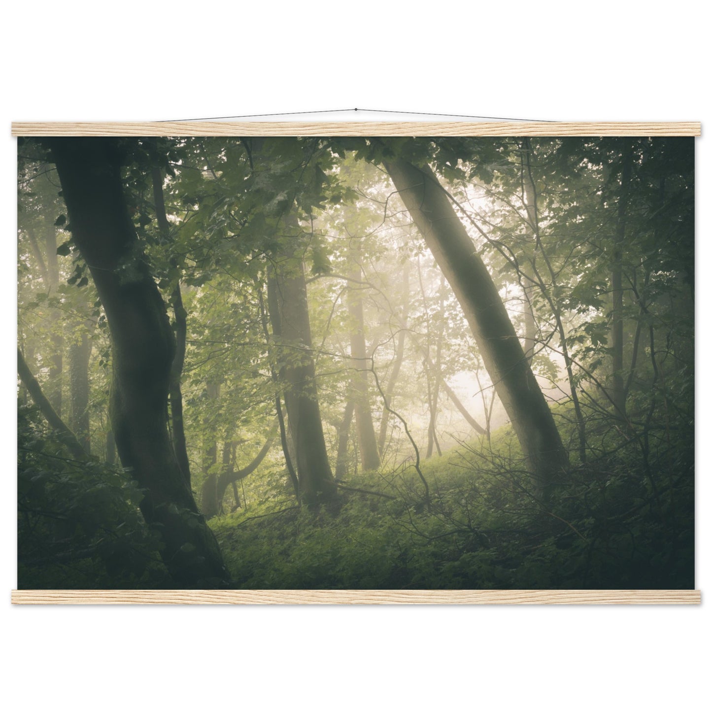 Ein Wald im Nebel