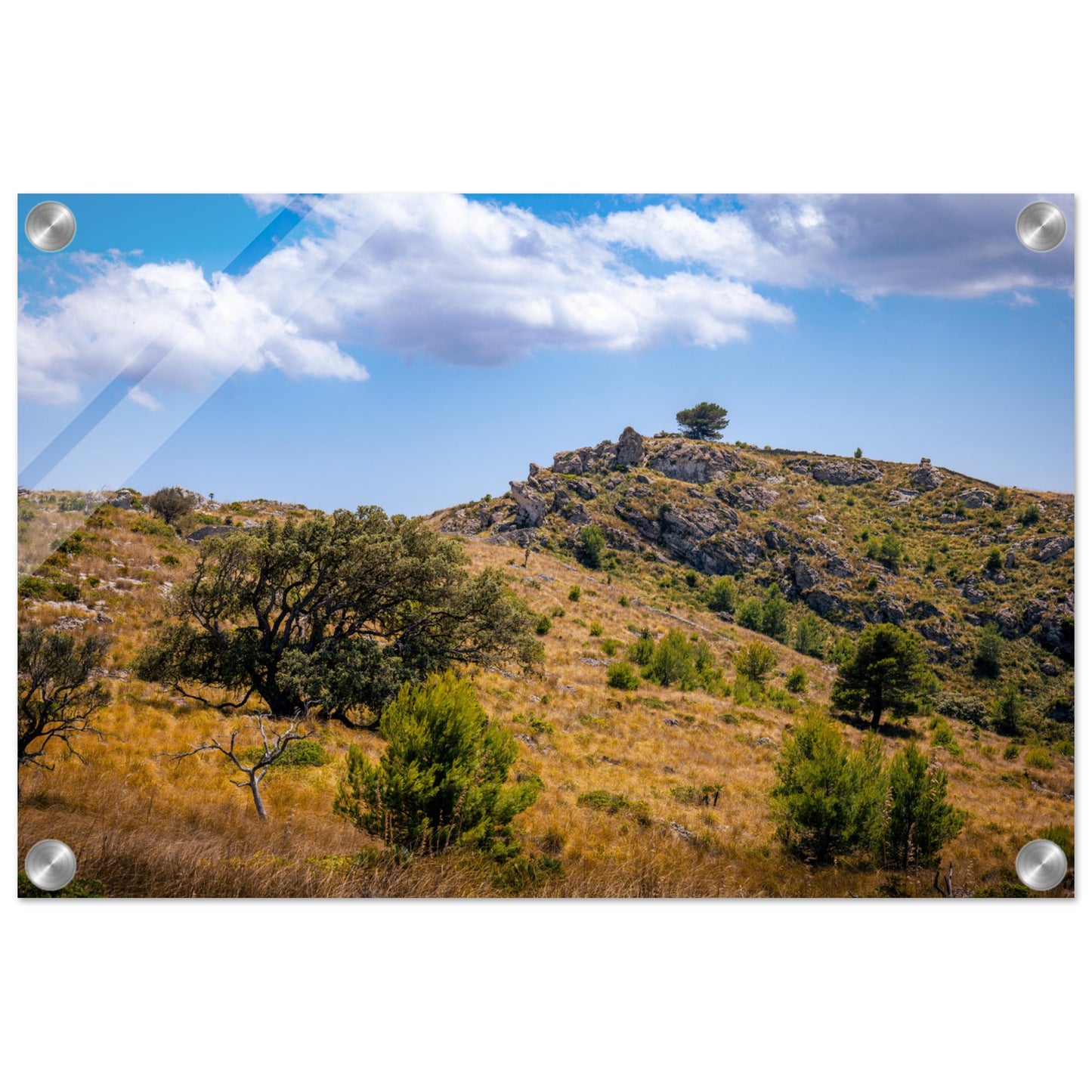 The Hills of Mallorca