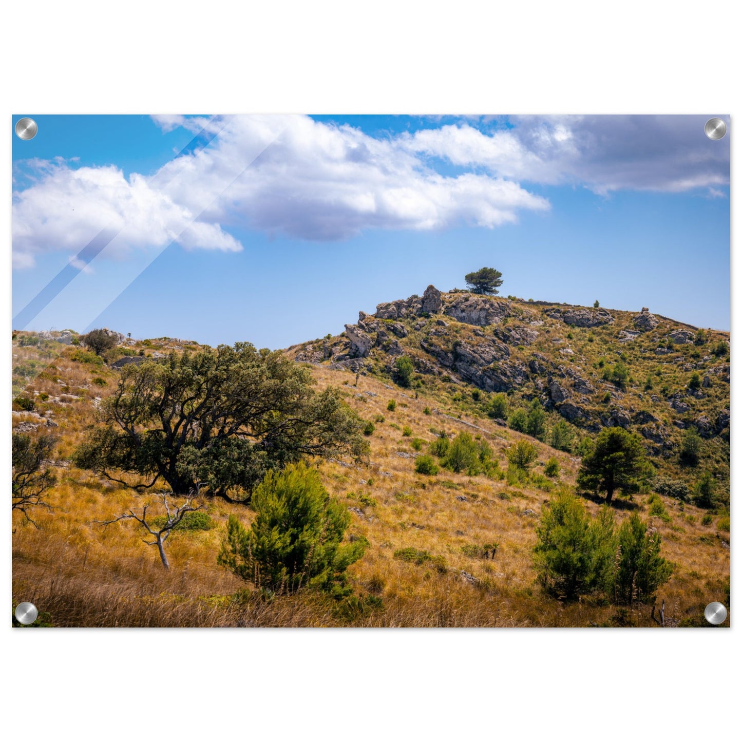 The Hills of Mallorca