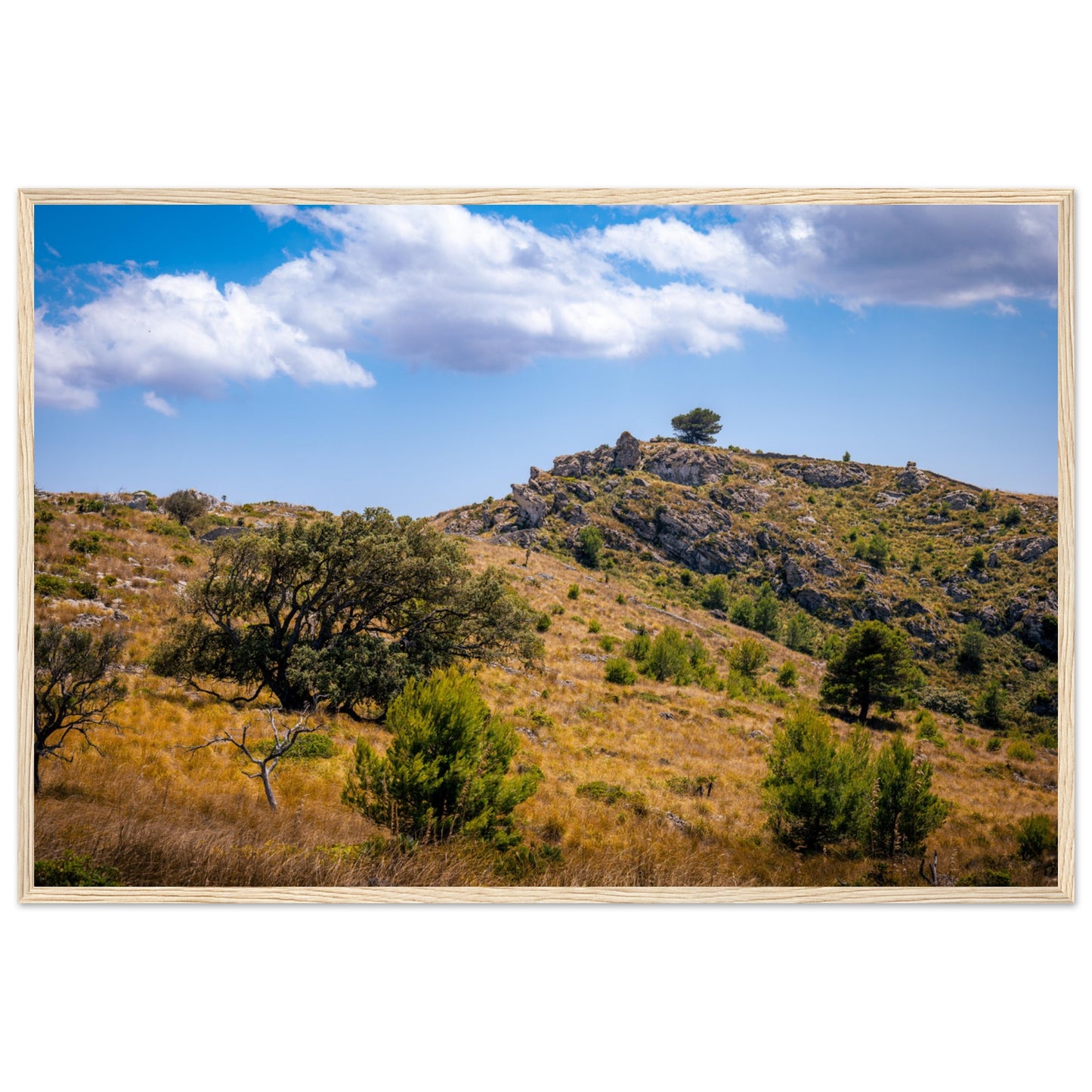 The Hills of Mallorca