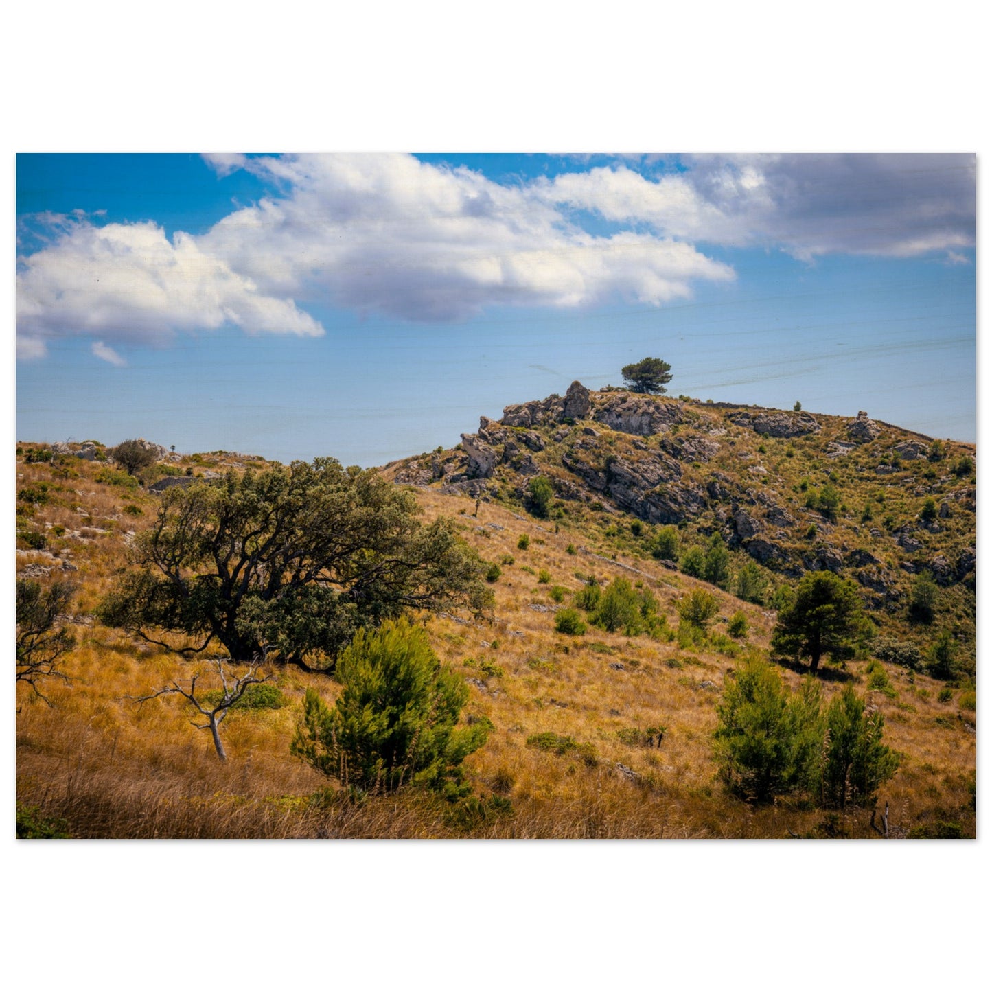 The Hills of Mallorca