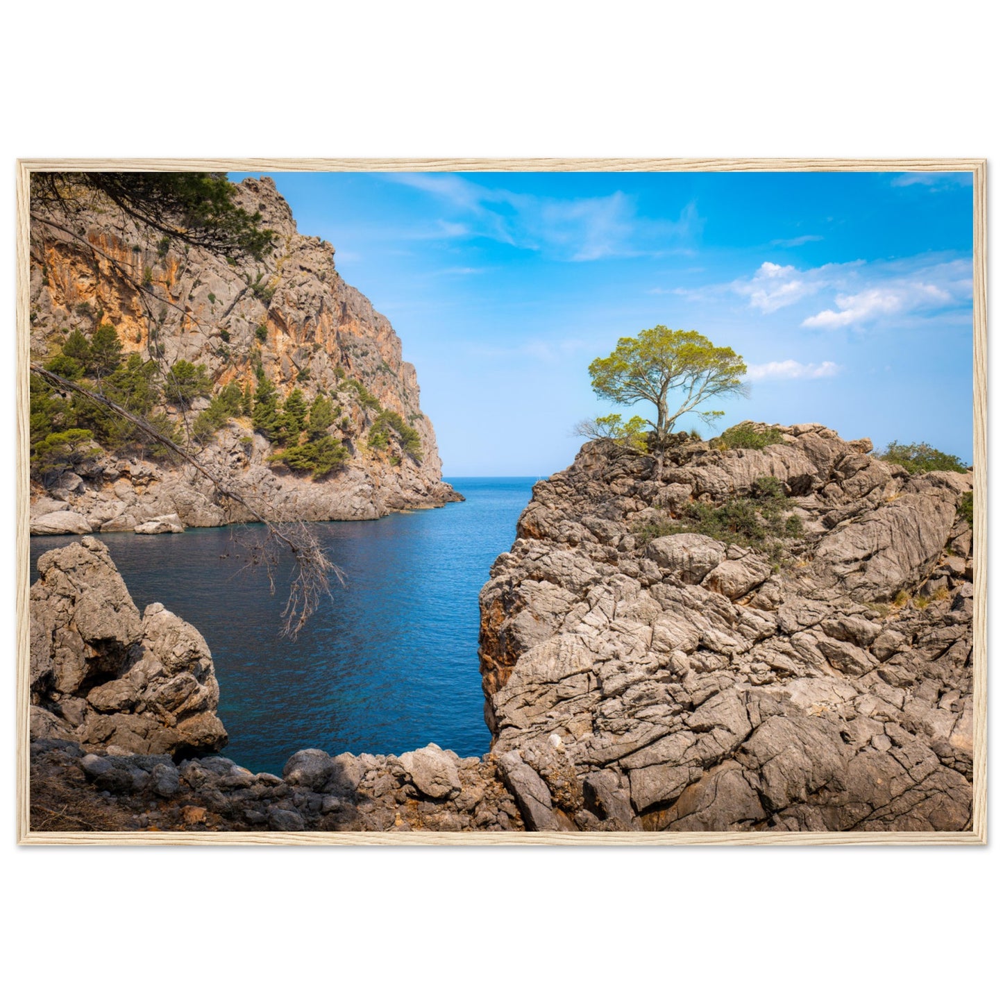 Einsamer Baum auf der Klippe von Sa Calobra