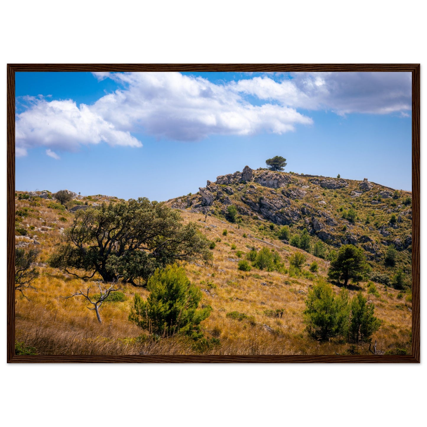 The Hills of Mallorca